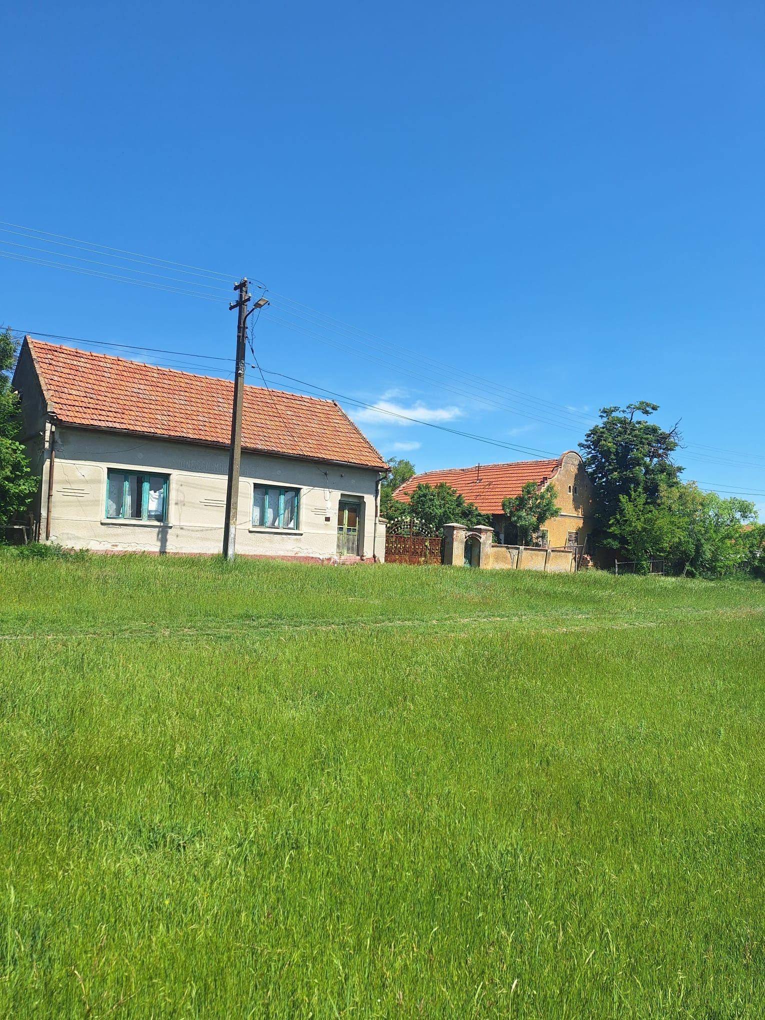 Teren vanzare-8000 m2-Cheveresu Mare -100 m front stradal - 3