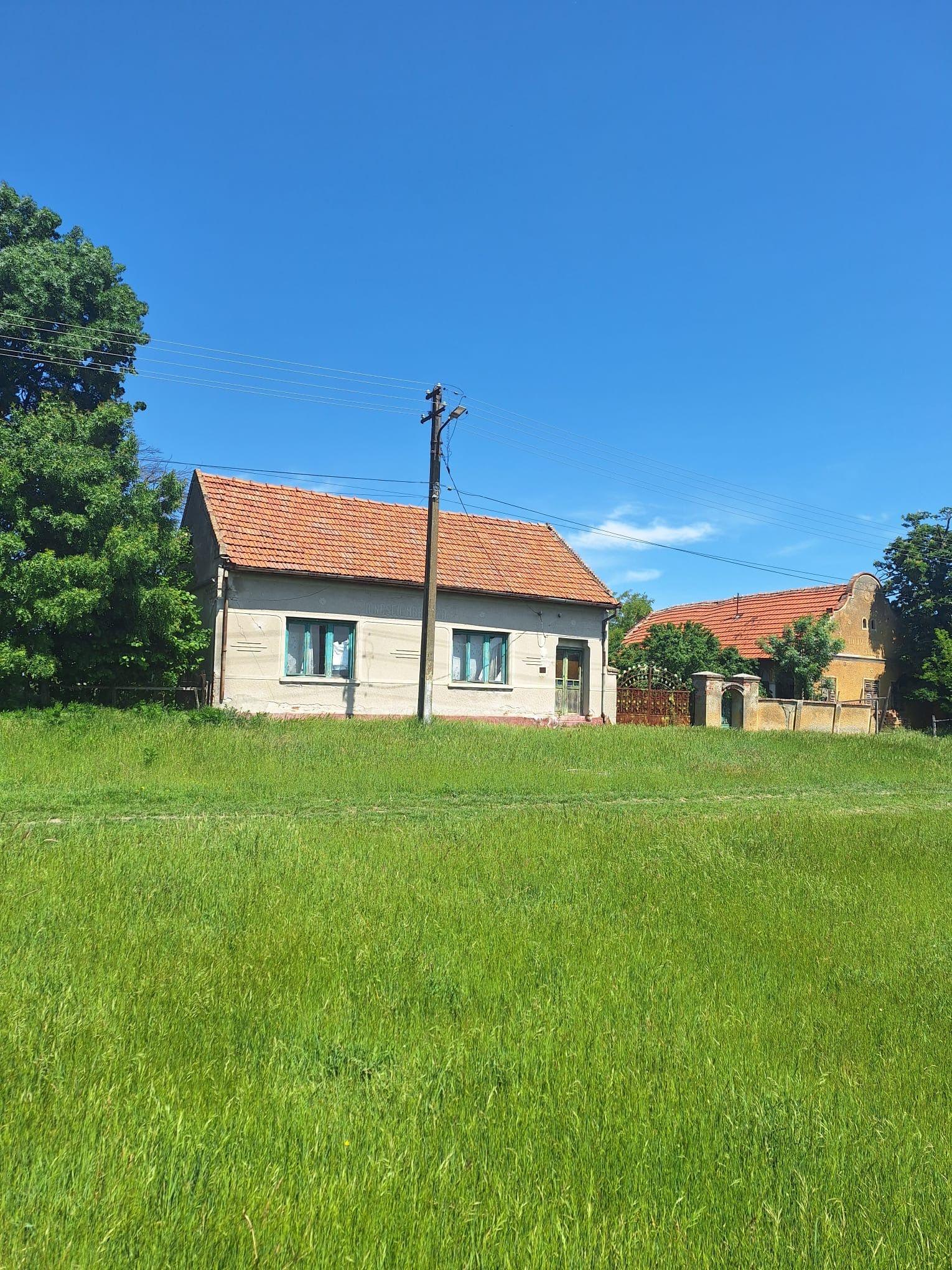 Teren vanzare-8000 m2-Cheveresu Mare -100 m front stradal - 2