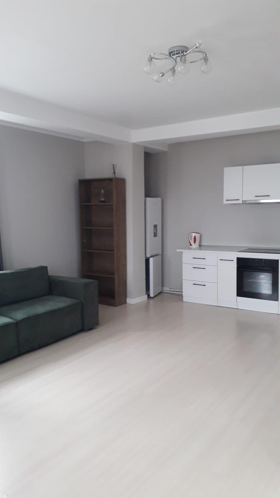 De inchiriat 2 apartamente cu 2 camere, etaj 1/2, strada Domneasca, 500 E - 8