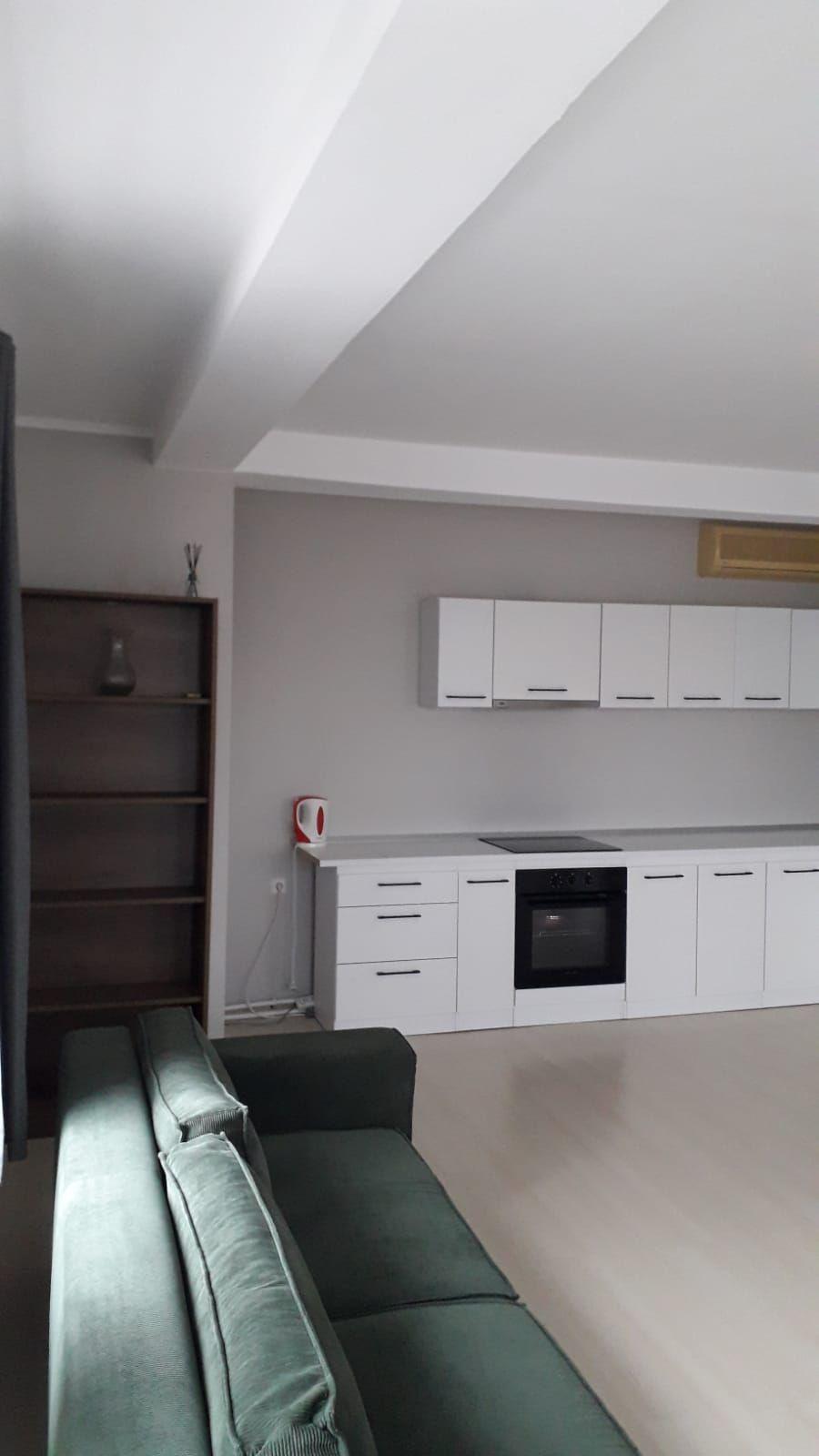 De inchiriat 2 apartamente cu 2 camere, etaj 1/2, strada Domneasca, 500 E - 10