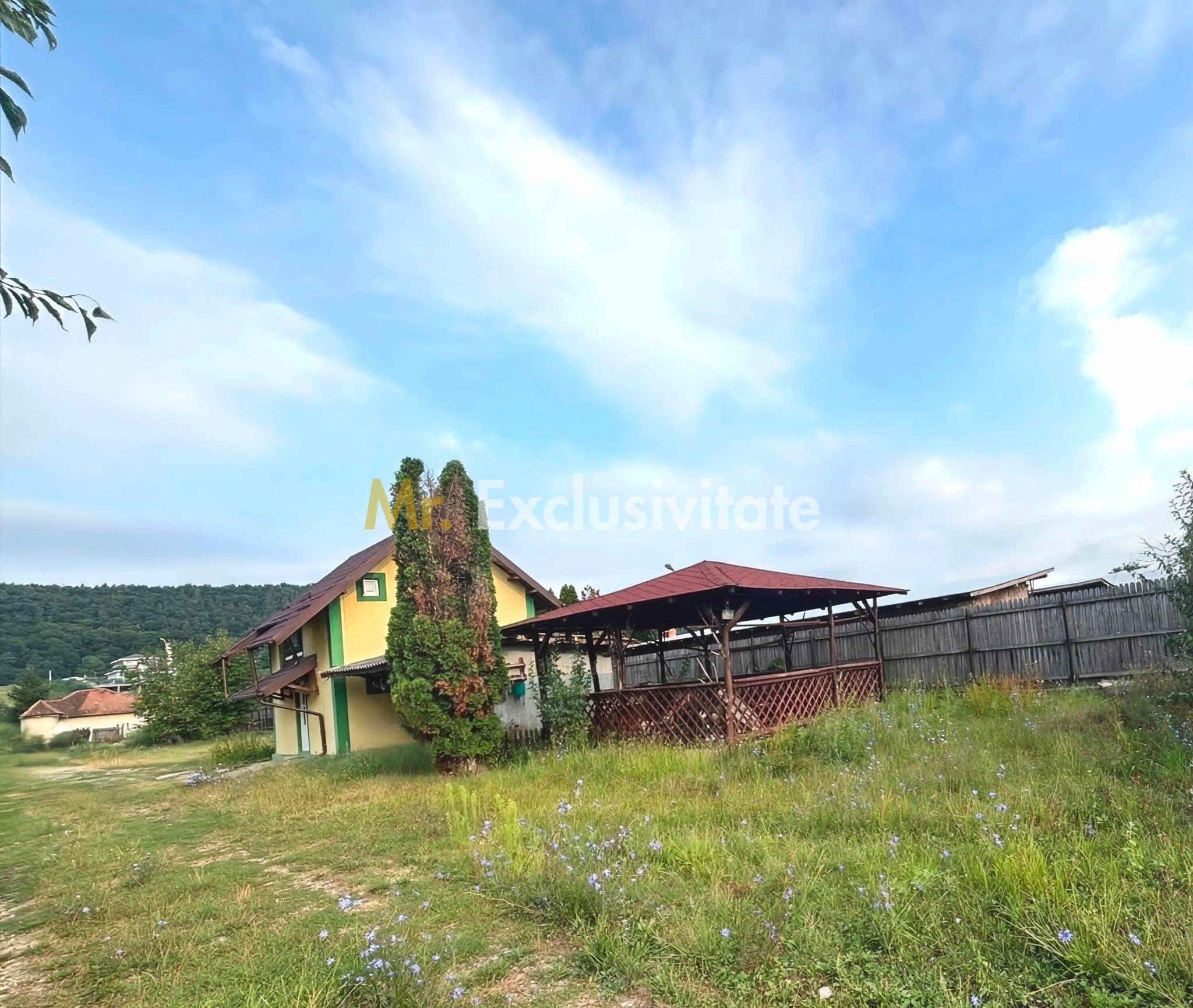 🏡 Oază de liniște! Casă cochetă cu foișor și curte – Mărăcineni - 2