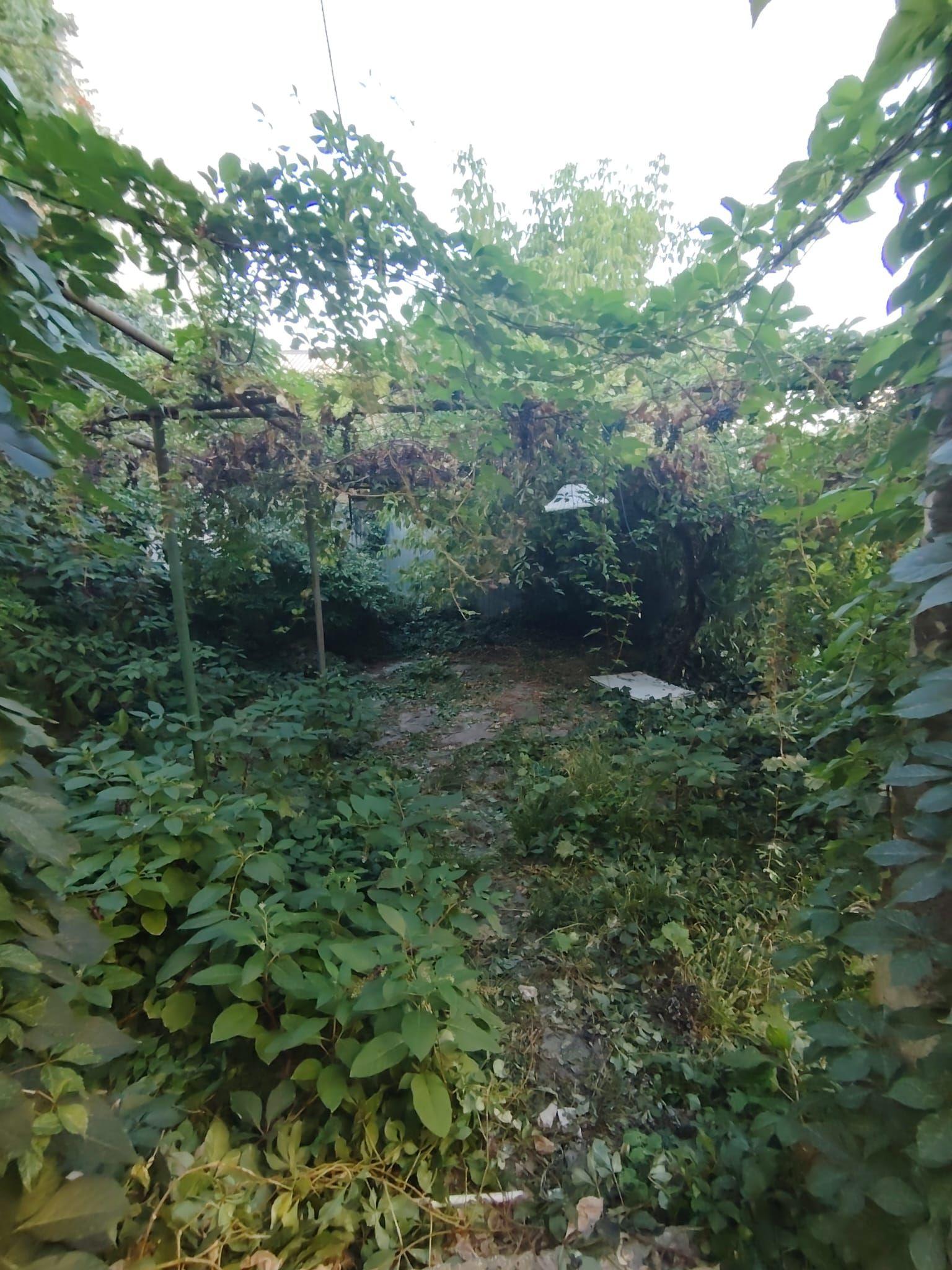 Casa-Curte proprie | Plantelor | - 15