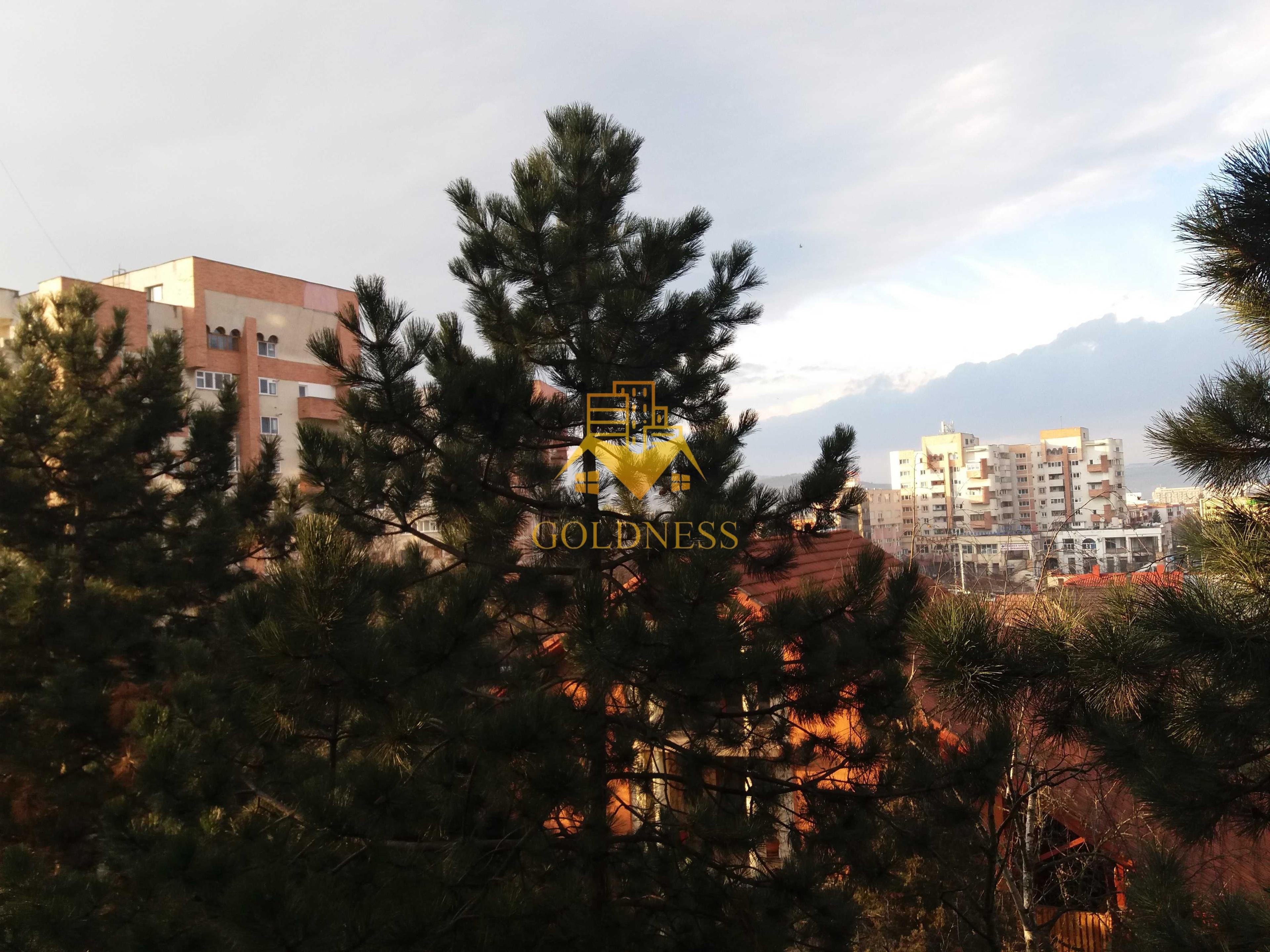 2 camere, Gheorgheni, Interservisan, Iulius Mall, Unirii, Slănic - 8