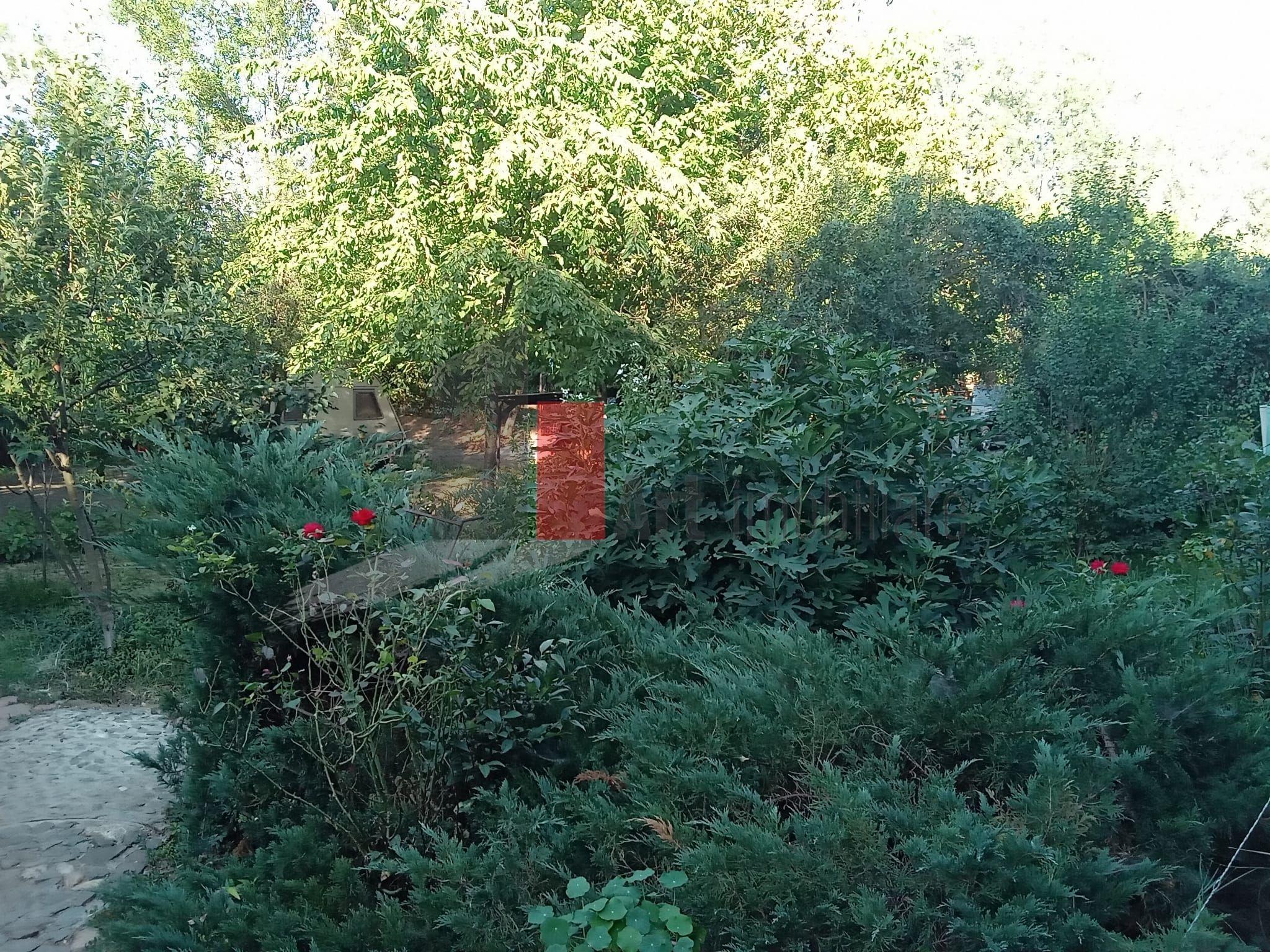 Vânzare teren intravilan Dărăști-Vlașca - 7