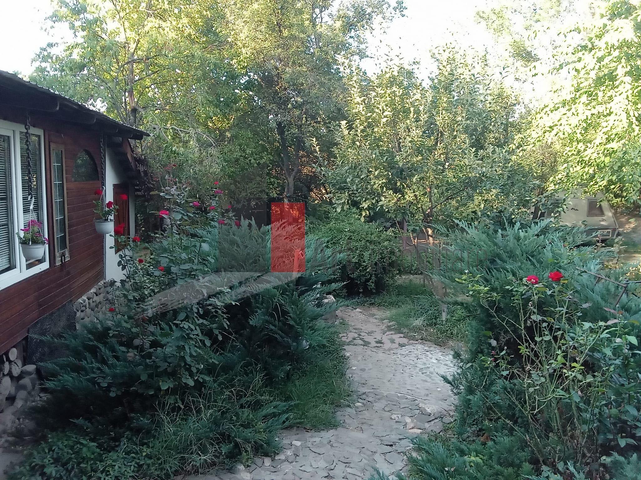 Vânzare teren intravilan Dărăști-Vlașca - 5