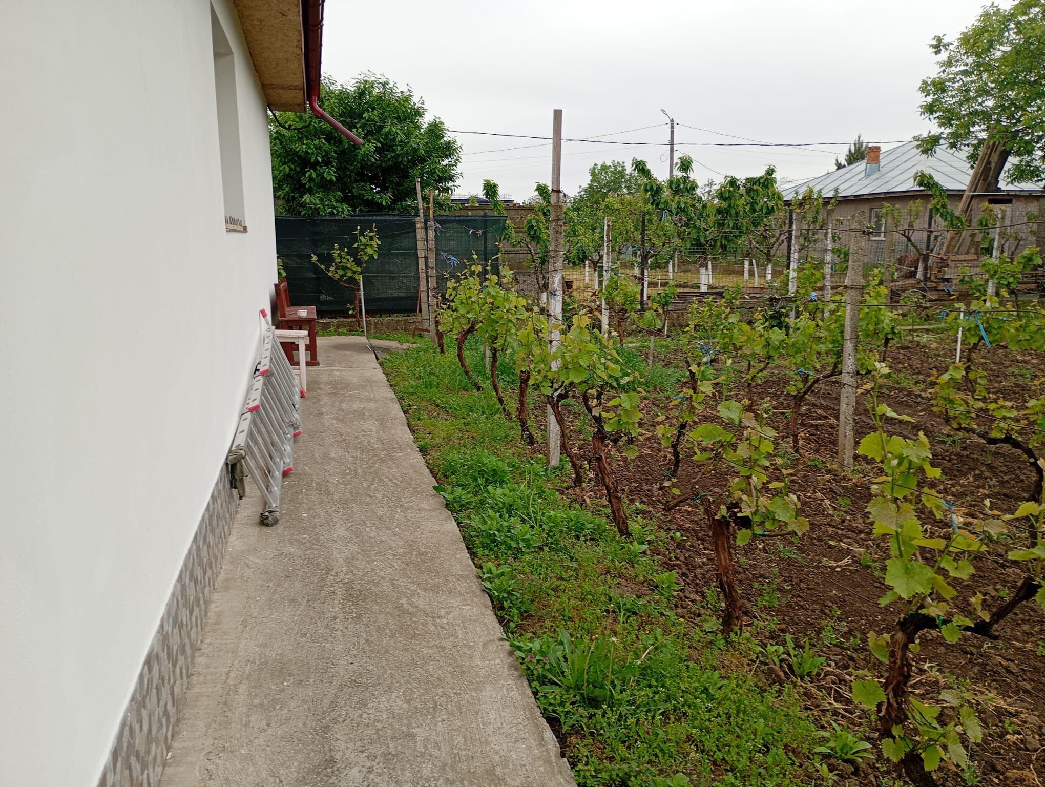 Casă 3 camere, în Tulucești - 11