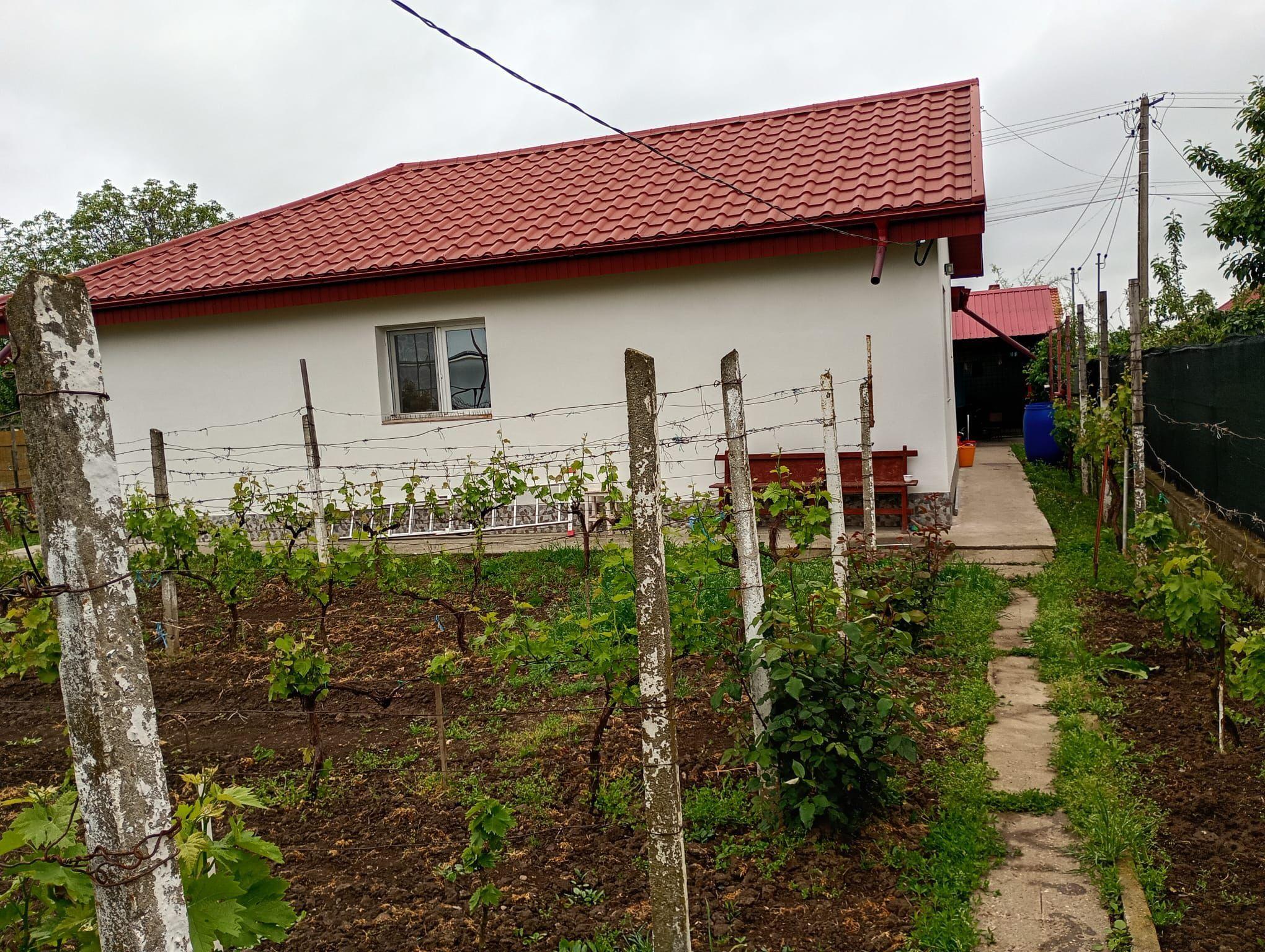 Casă 3 camere, în Tulucești - 13