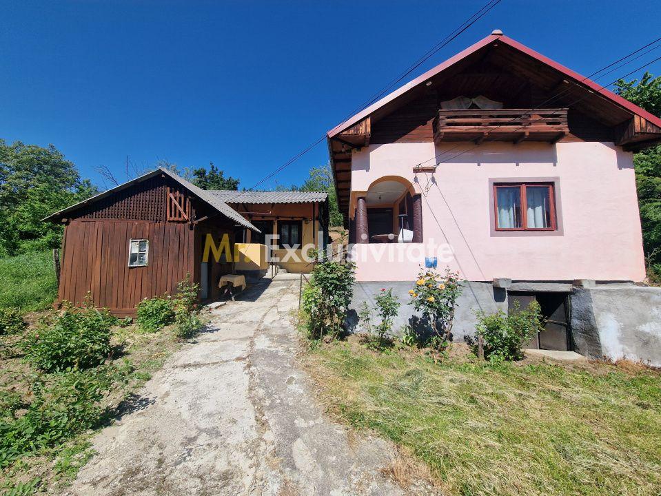 Căsuță autentică românească între două dealuri–colț de liniște în Botesti, Arge - 2
