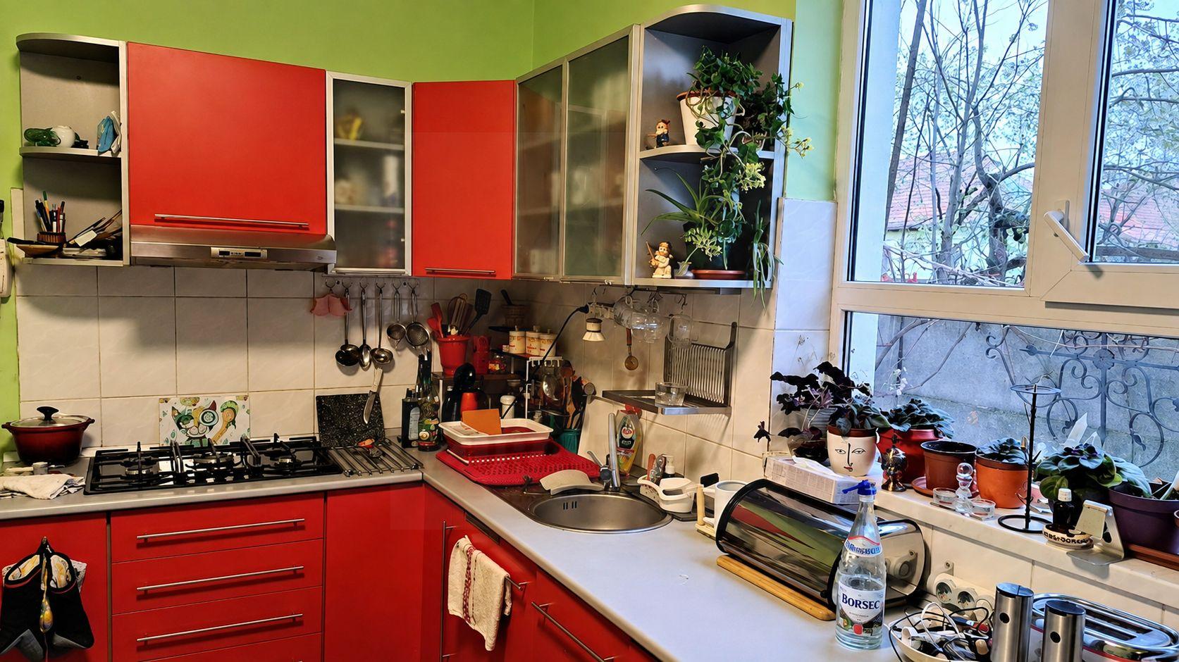 Casă individuala 279 mp utili anexe și teren 341 mp zona Trei Stejari - 3