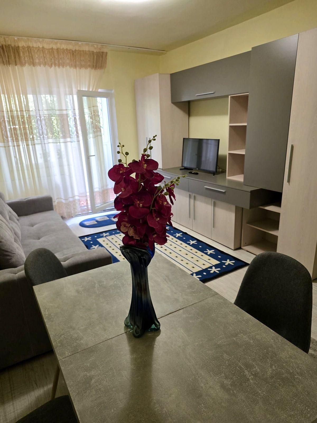 Apartament cu 2 camere, centrală proprie și aer condiționat –Dâmbovița - 2