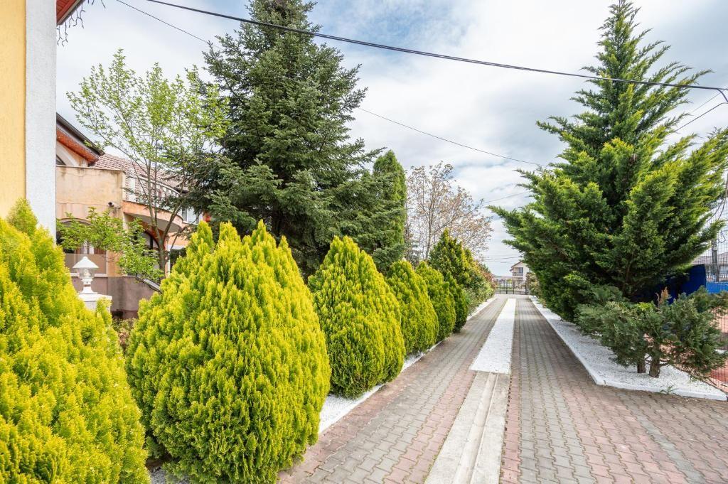 Complex turistic pe un domeniu de 5.375 mp | Sânmartin - 2