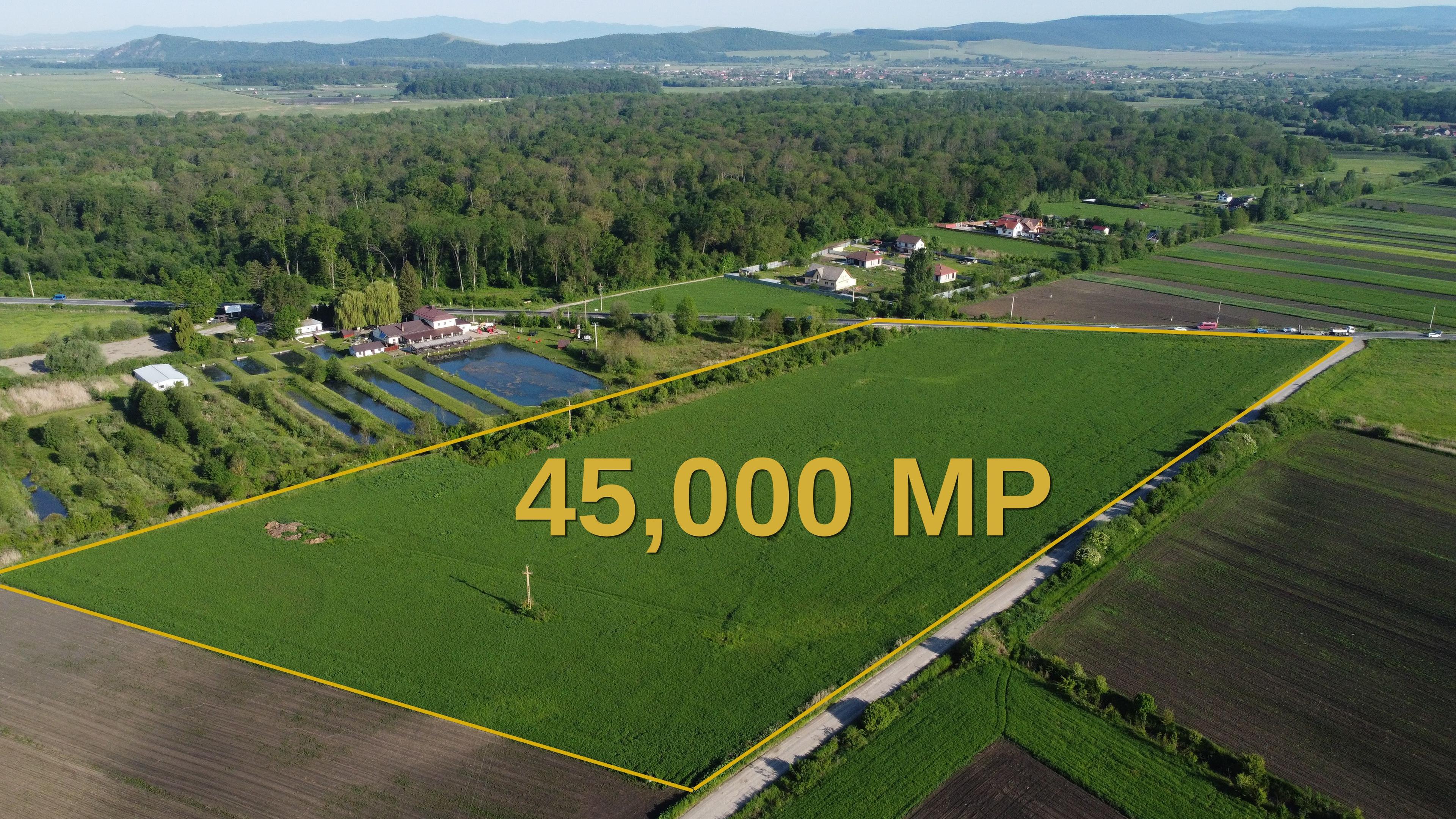 Industrial Land for Sale ROMANIA - BRASOV | 45,000 sqm - 1