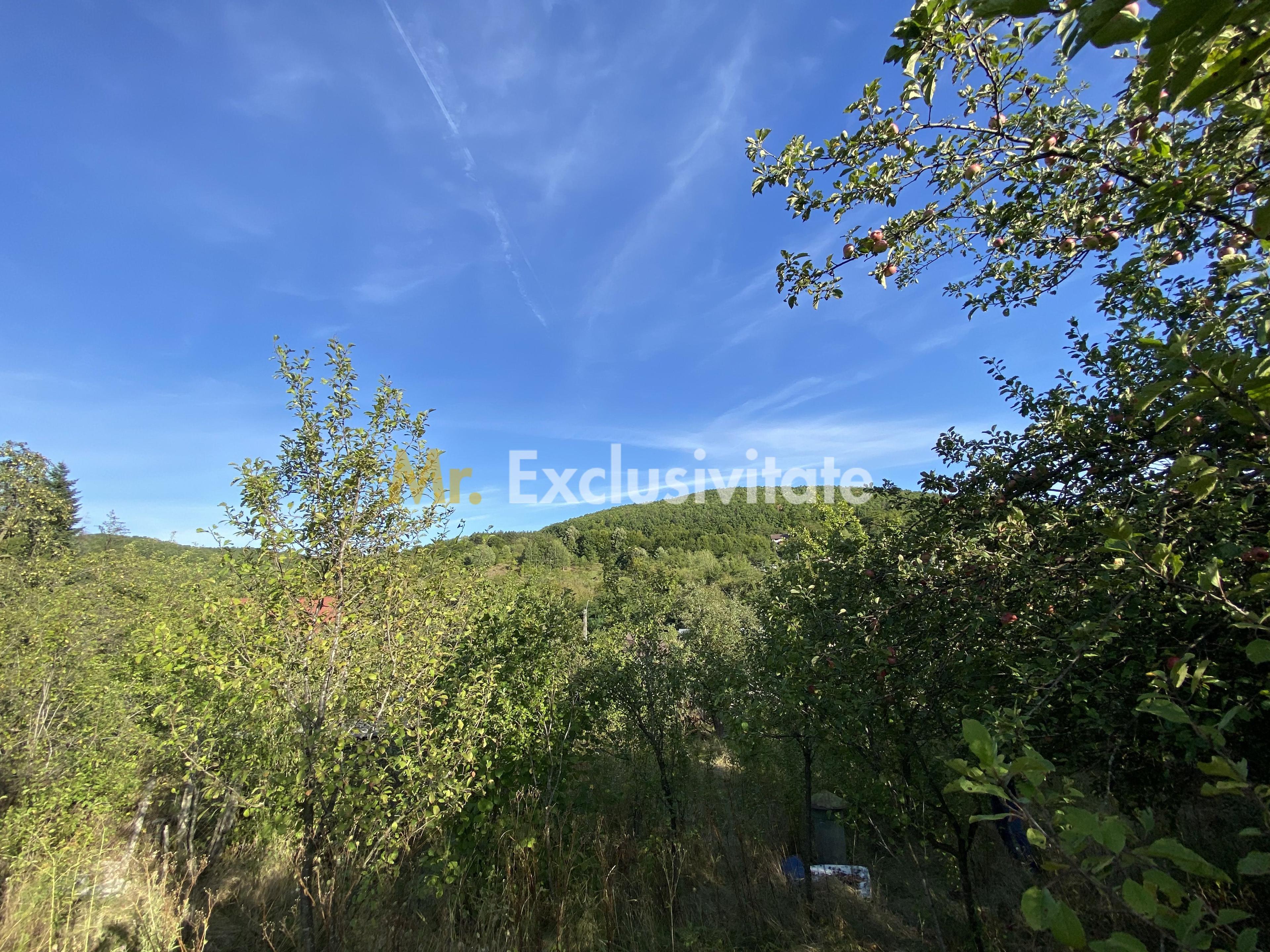 CASA + TEREN 1.002 MP | Stefanesti – Valea Mare Enculescu-Arges - 10