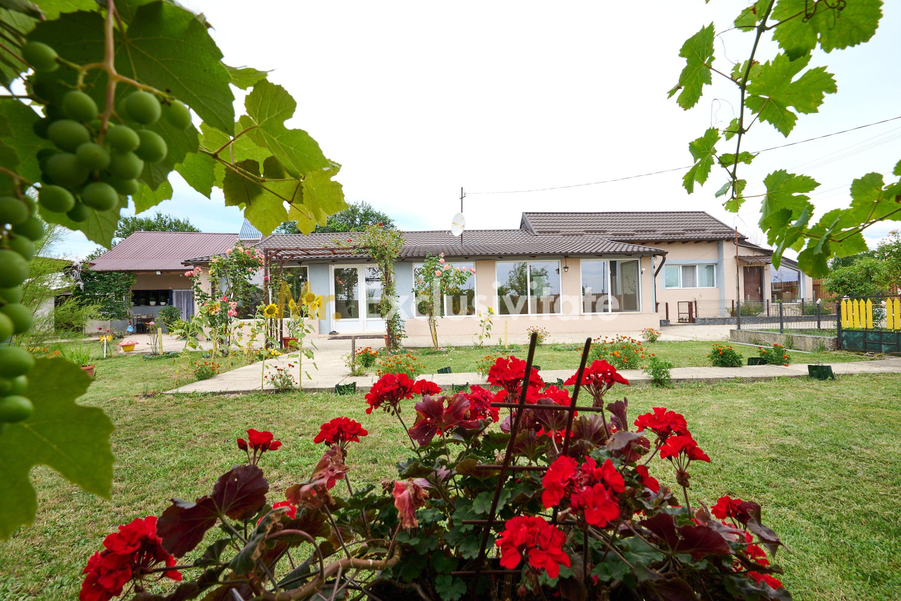 Casă cu teren generos – Vedea-Arges - 4