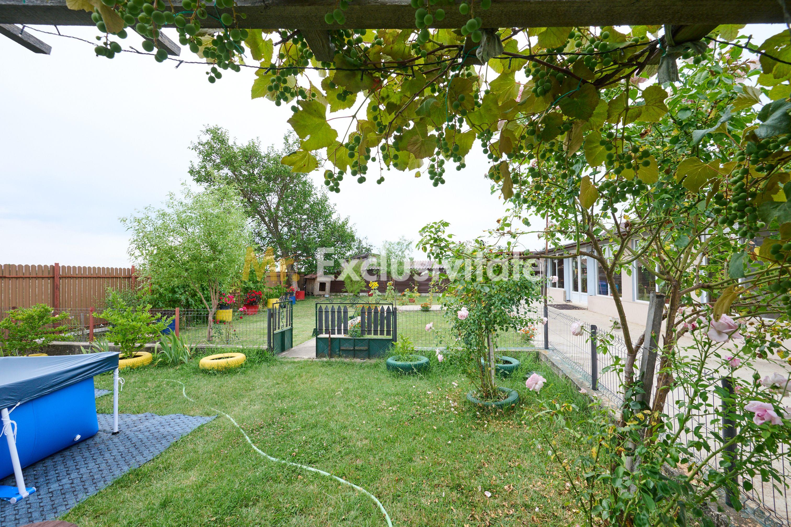 Casă cu teren generos – Vedea-Arges - 10