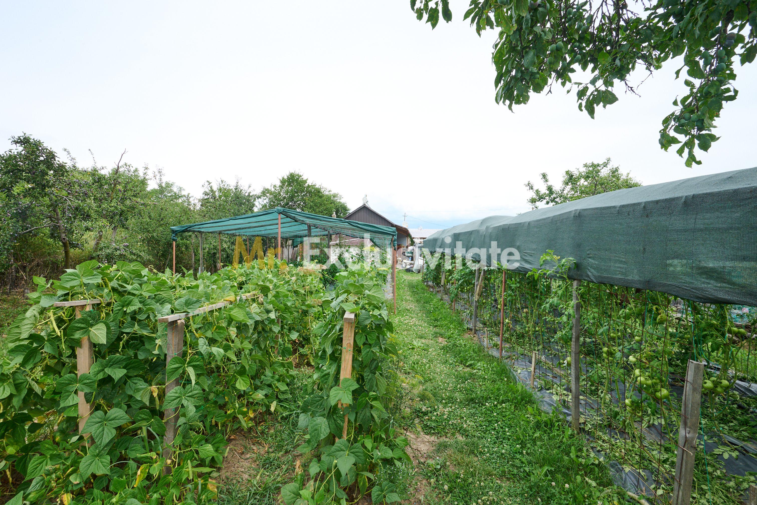 Casă cu teren generos – Vedea-Arges - 34
