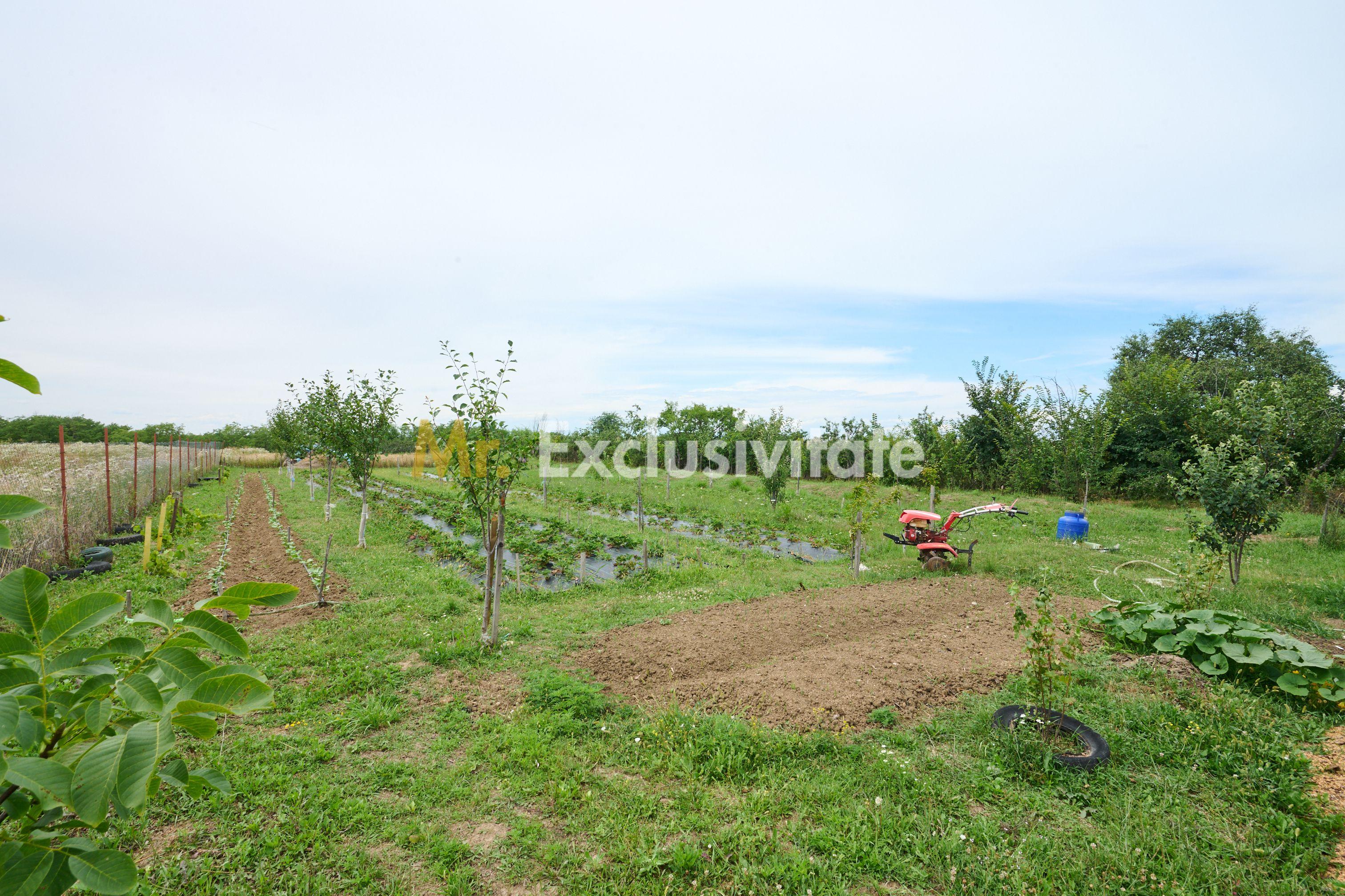 Casă cu teren generos – Vedea-Arges - 31