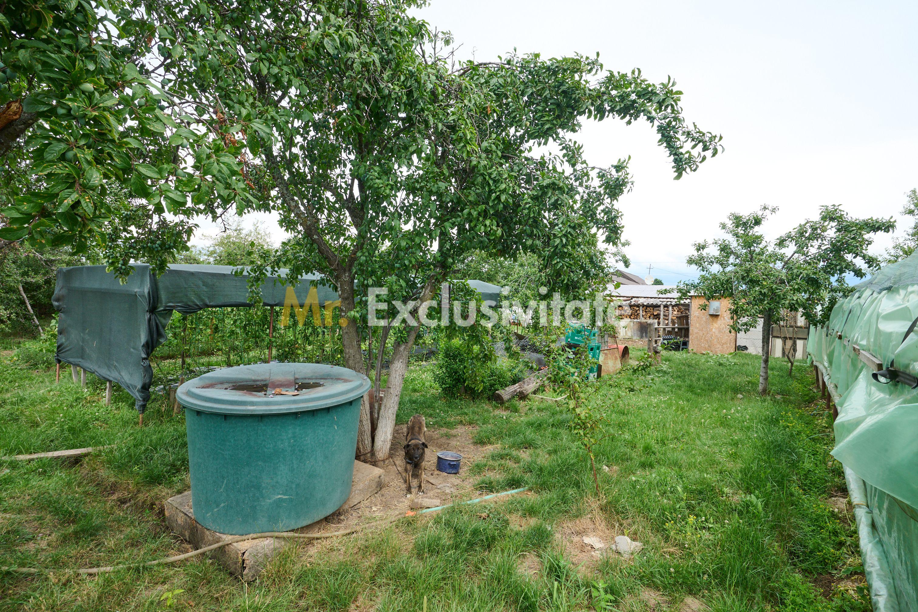 Casă cu teren generos – Vedea-Arges - 35