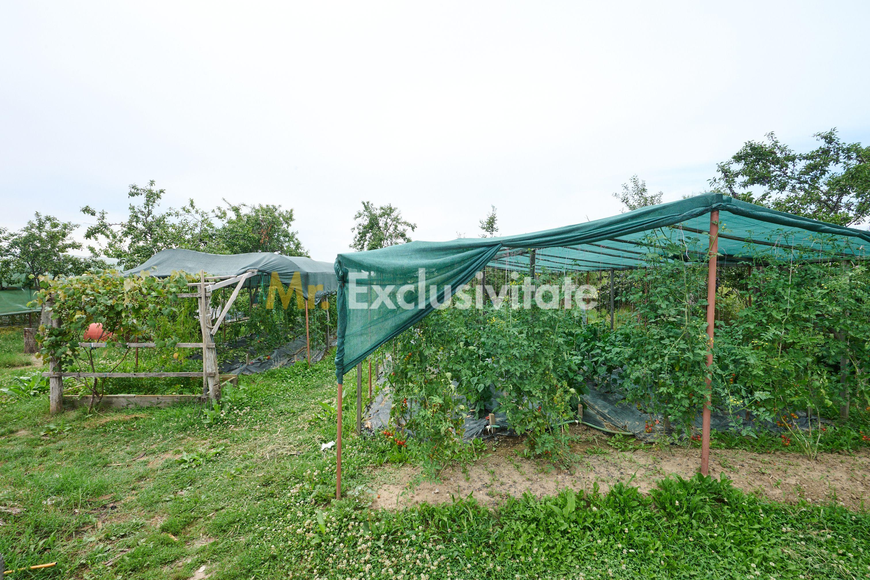 Casă cu teren generos – Vedea-Arges - 33