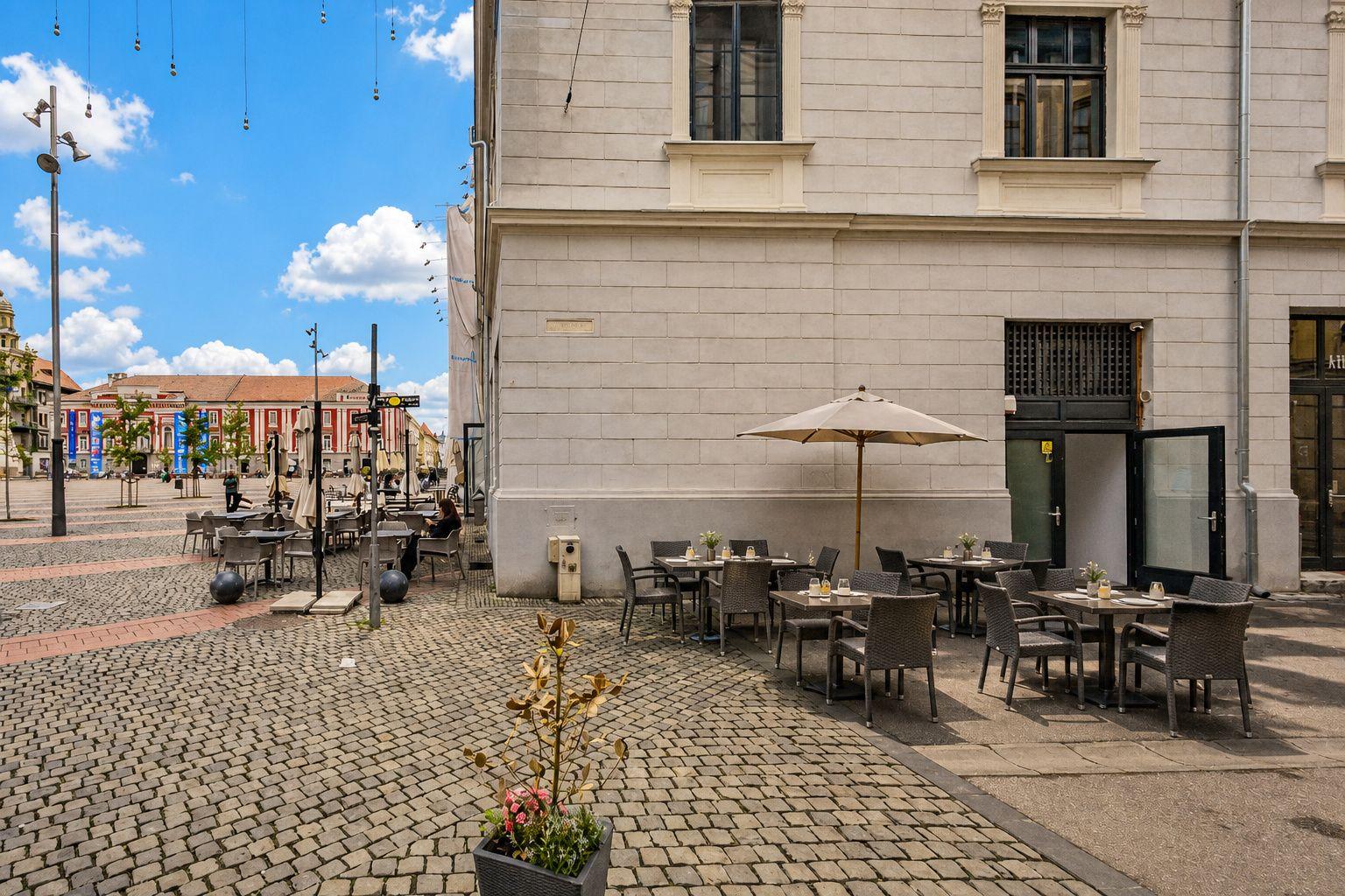 Oportunitate Unică in Inima Timișoarei! - 8