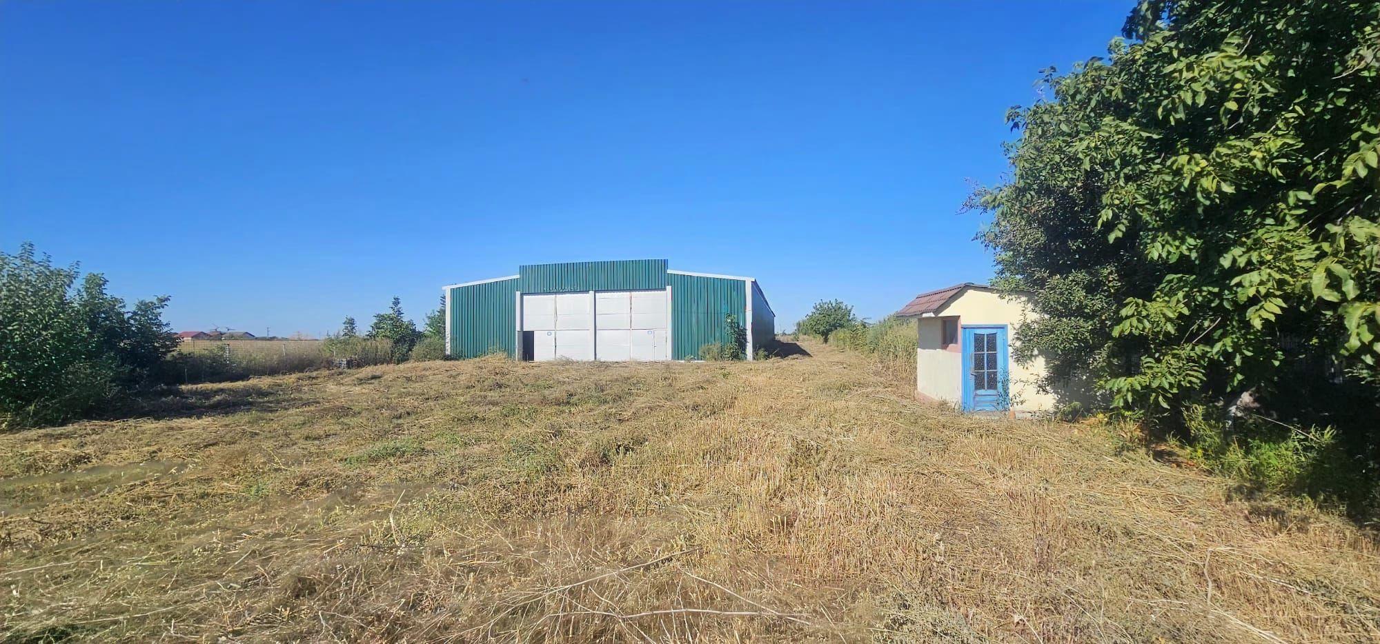 Hala 1.533 mp cu teren 5.000 mp – Vanatori, zona Maylo - 17