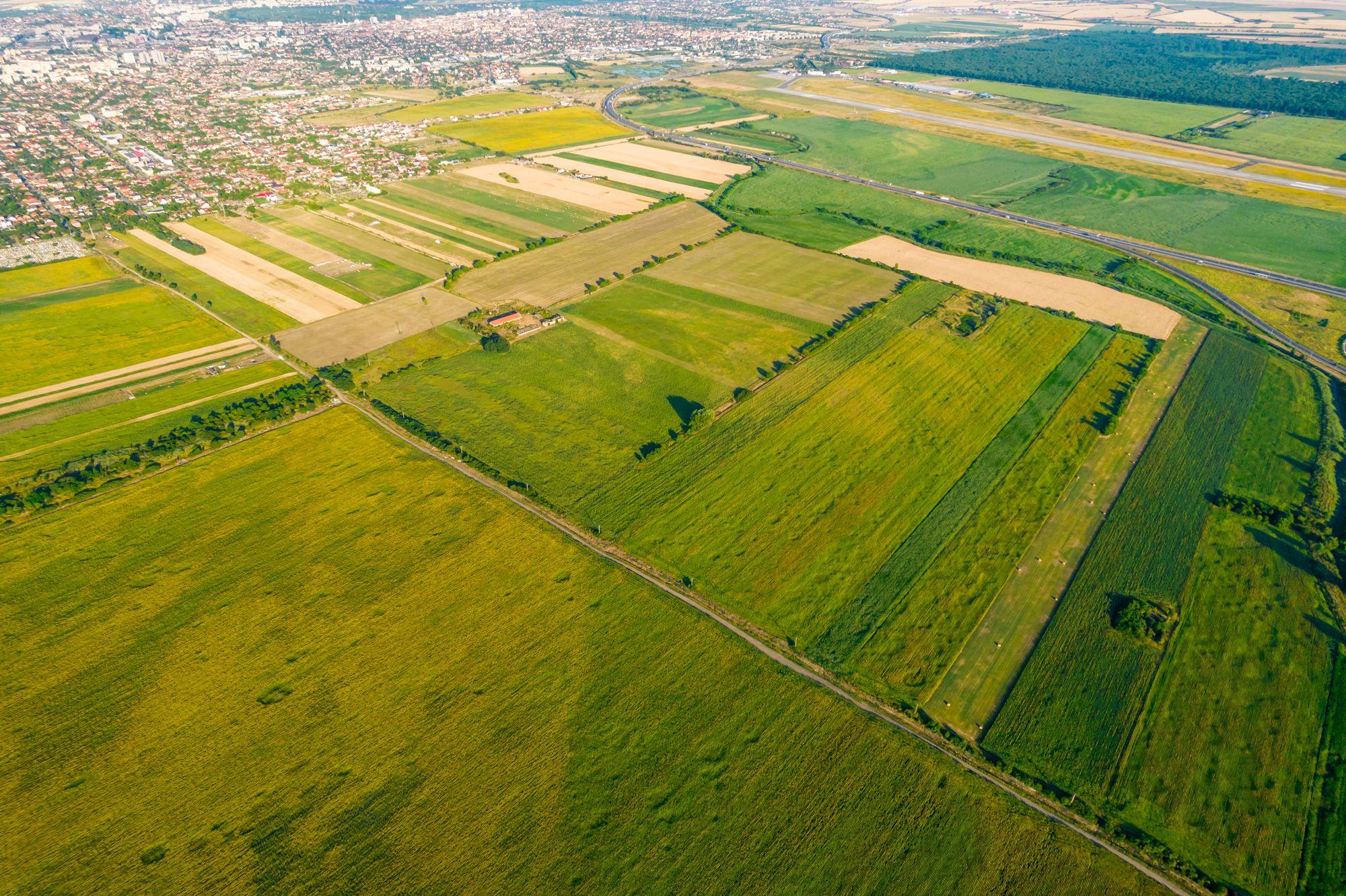 Teren de 50 ha compact în Bujac - 10
