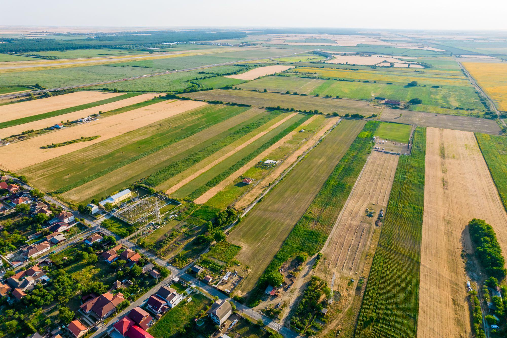 Teren de 50 ha compact în Bujac - 9