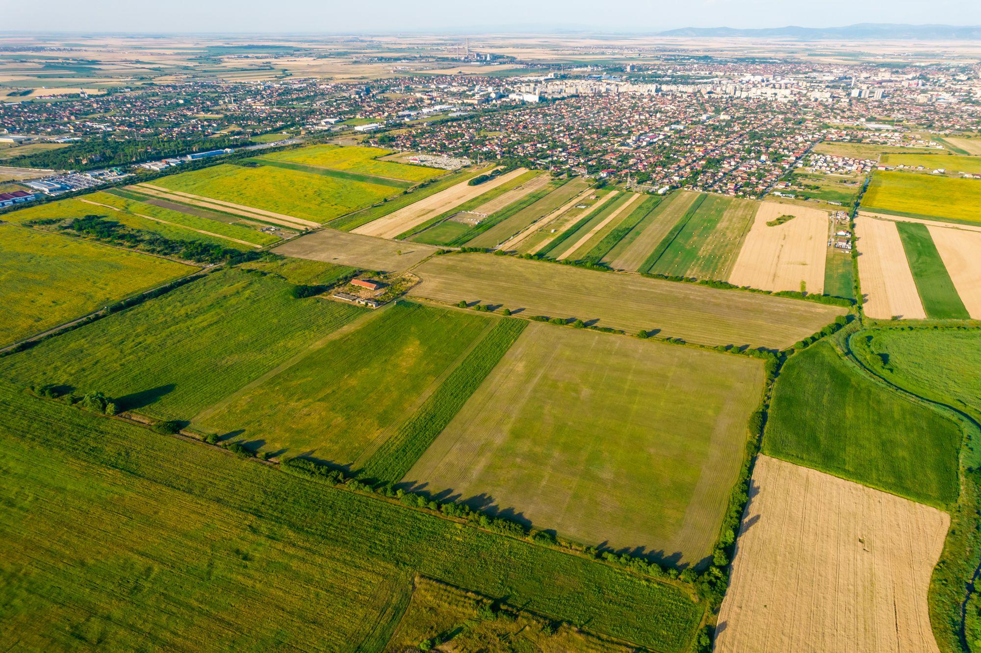 Teren de 50 ha compact în Bujac - 3