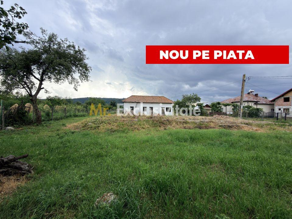 Teren intravilan–2.104 mp | Albești - Transfagarasan - Curtea de Arges - 1