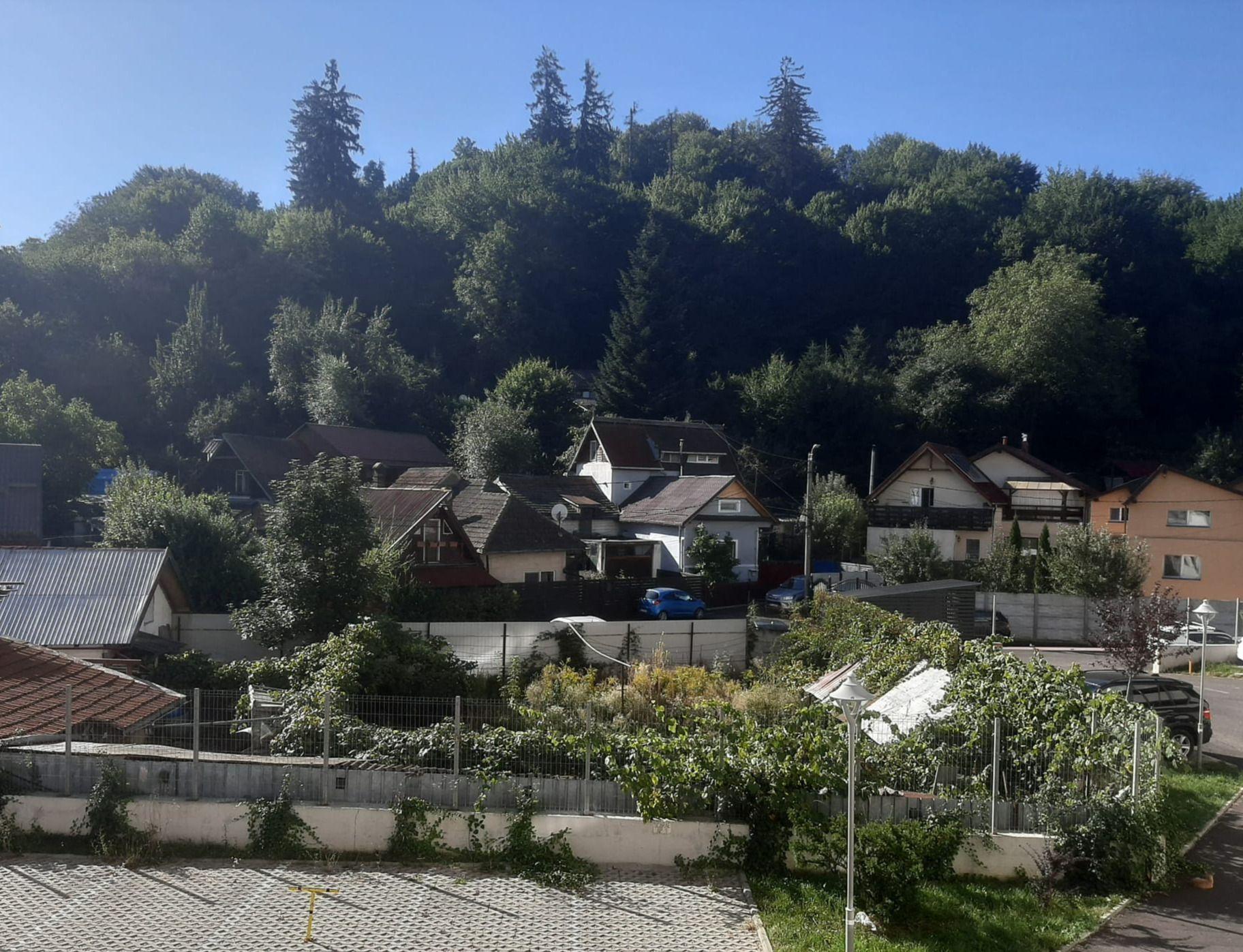 Apartament nou cu feeling de acasă din prima zi - 4