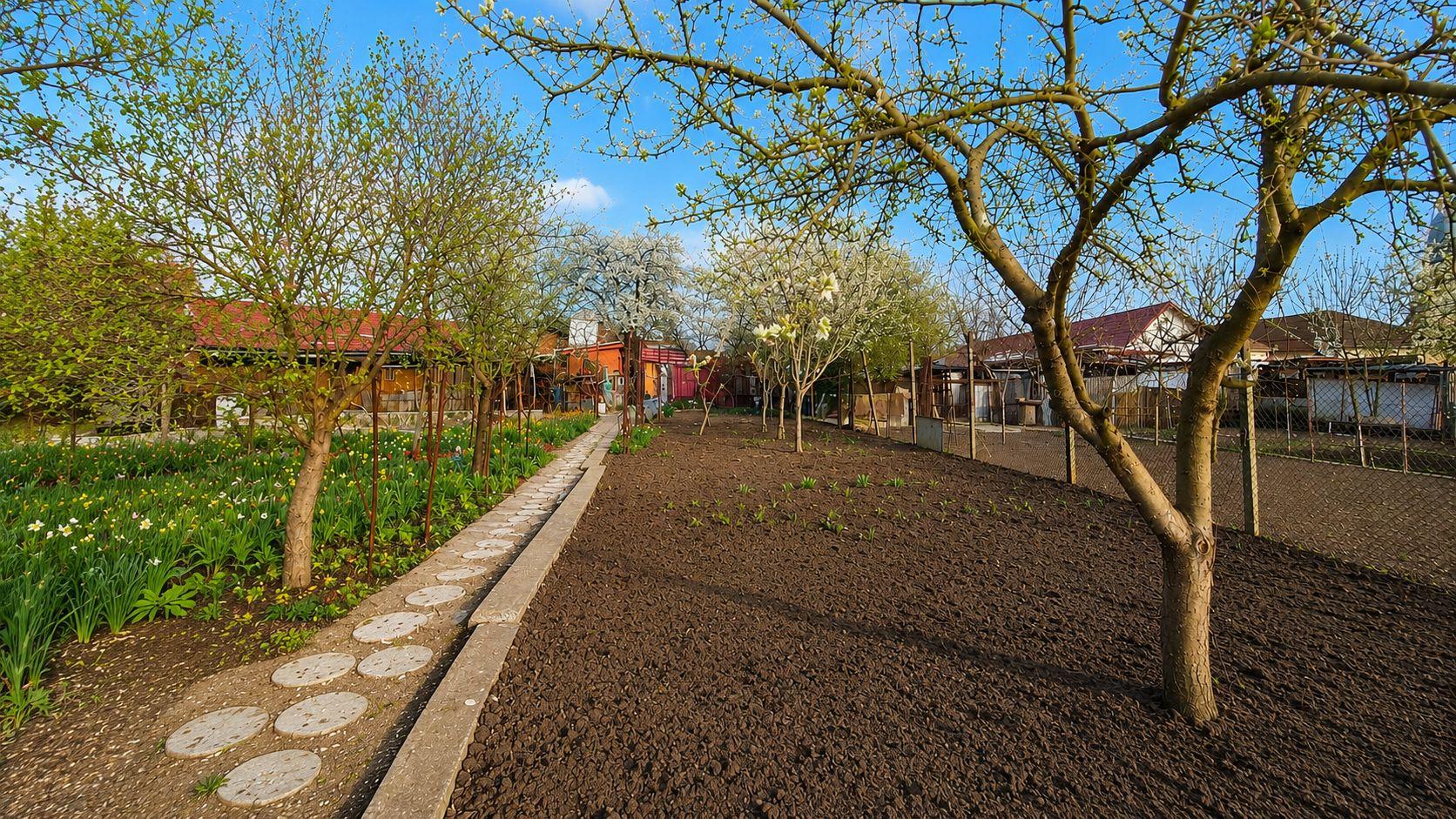 Casă individuală, teren generos de 1.348mp, poziție centrală, Giarmata - 10