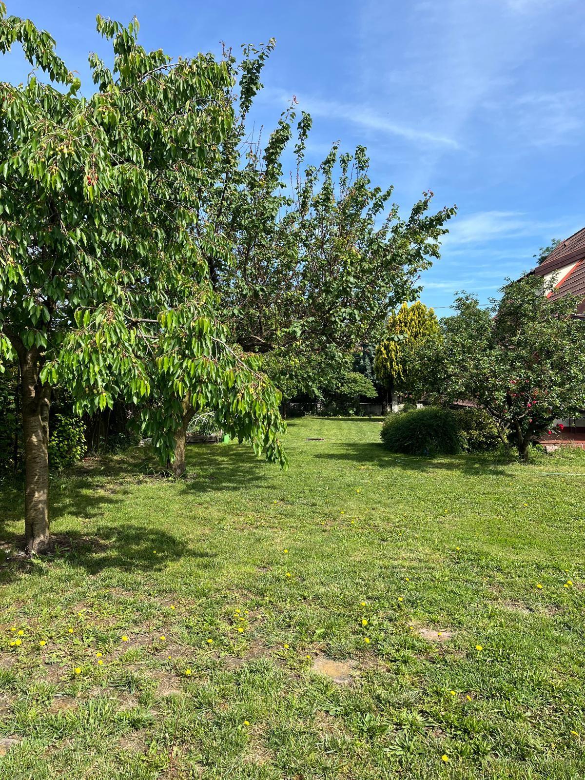 Casă elegantă, spațioasă, ideală pentru familie – Sanmihaiu Roman - 33