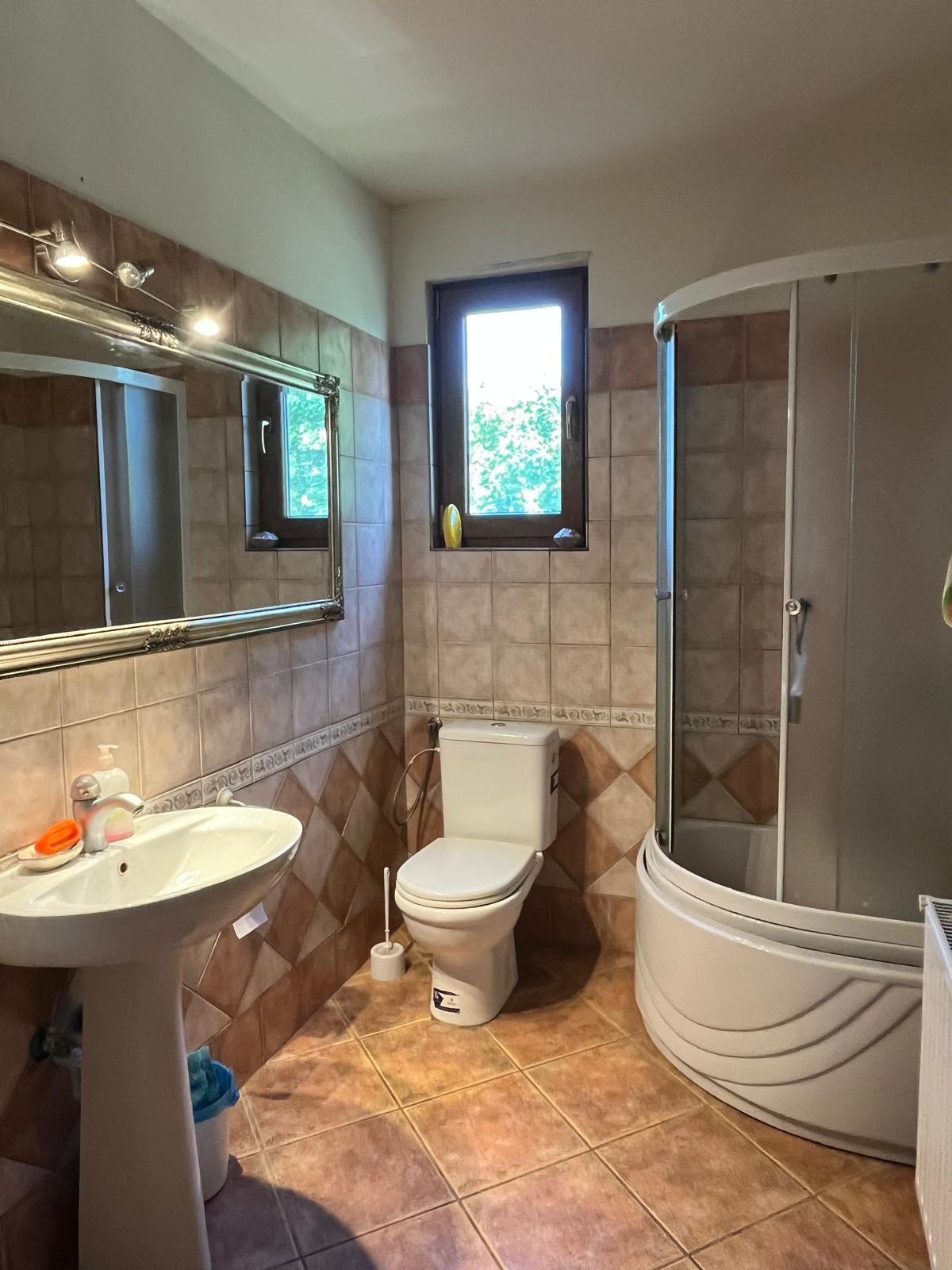 Casă elegantă, spațioasă, ideală pentru familie – Sanmihaiu Roman - 7