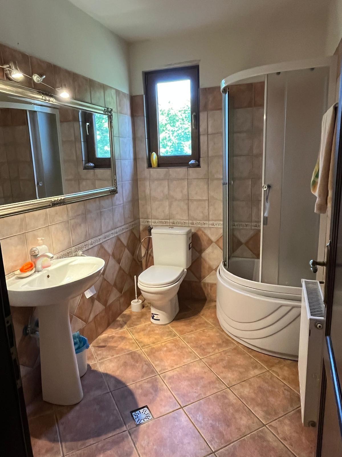 Casă elegantă, spațioasă, ideală pentru familie – Sanmihaiu Roman - 13