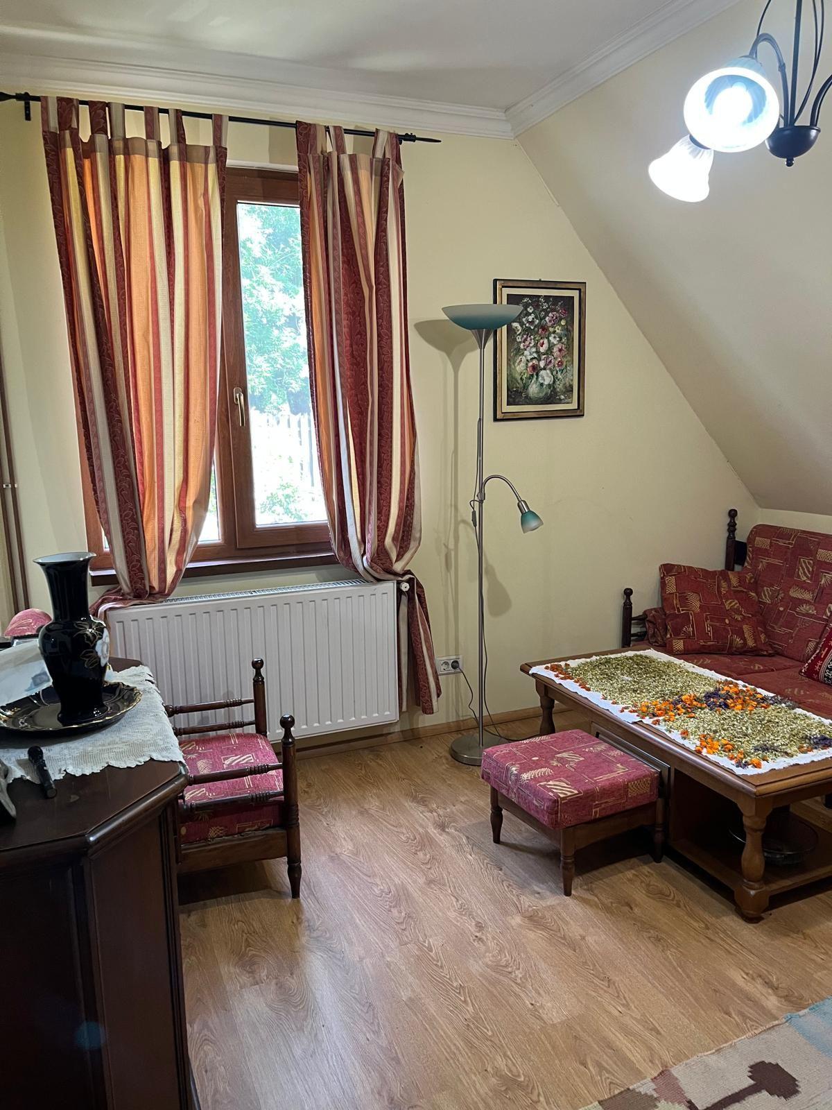 Casă elegantă, spațioasă, ideală pentru familie – Sanmihaiu Roman - 26