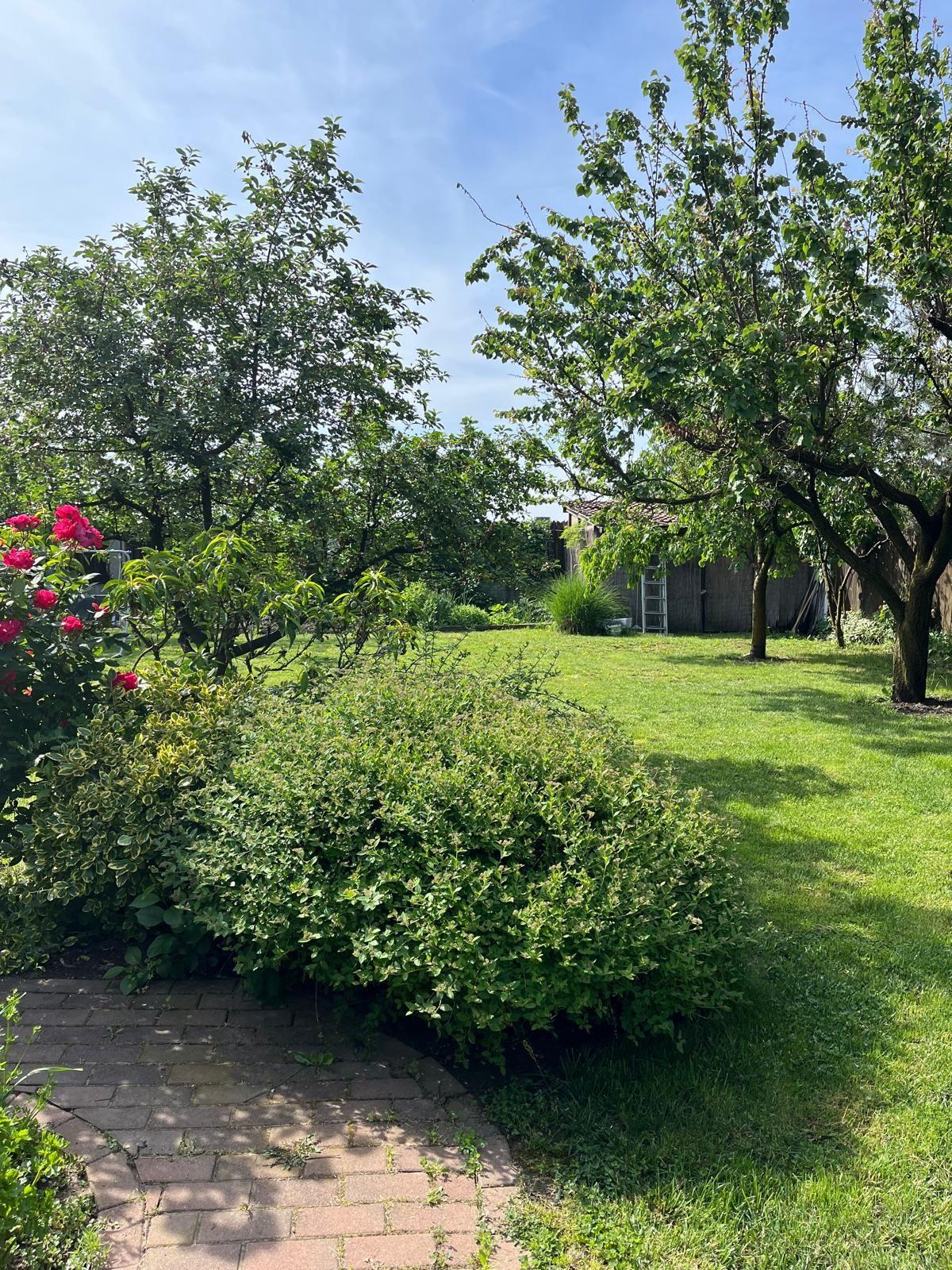 Casă elegantă, spațioasă, ideală pentru familie – Sanmihaiu Roman - 29