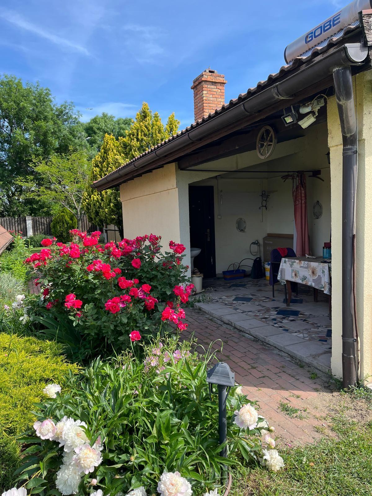 Casă elegantă, spațioasă, ideală pentru familie – Sanmihaiu Roman - 28