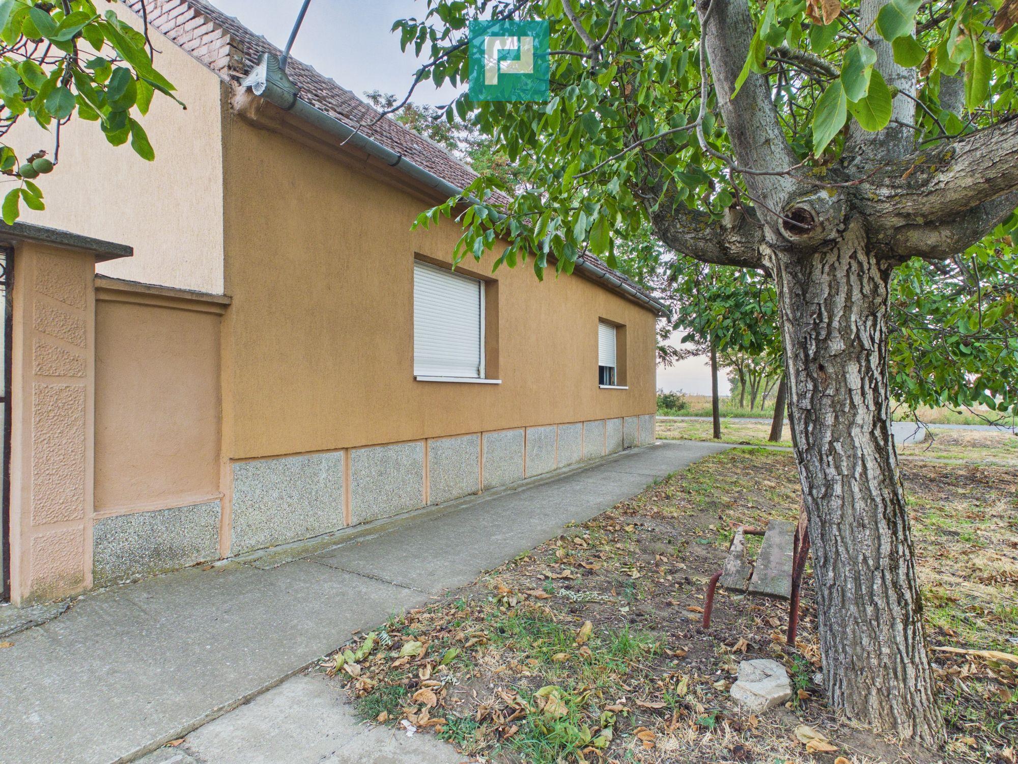 Casă 2 corpuri și 4 camere teren 1440 mp în Macea - 1