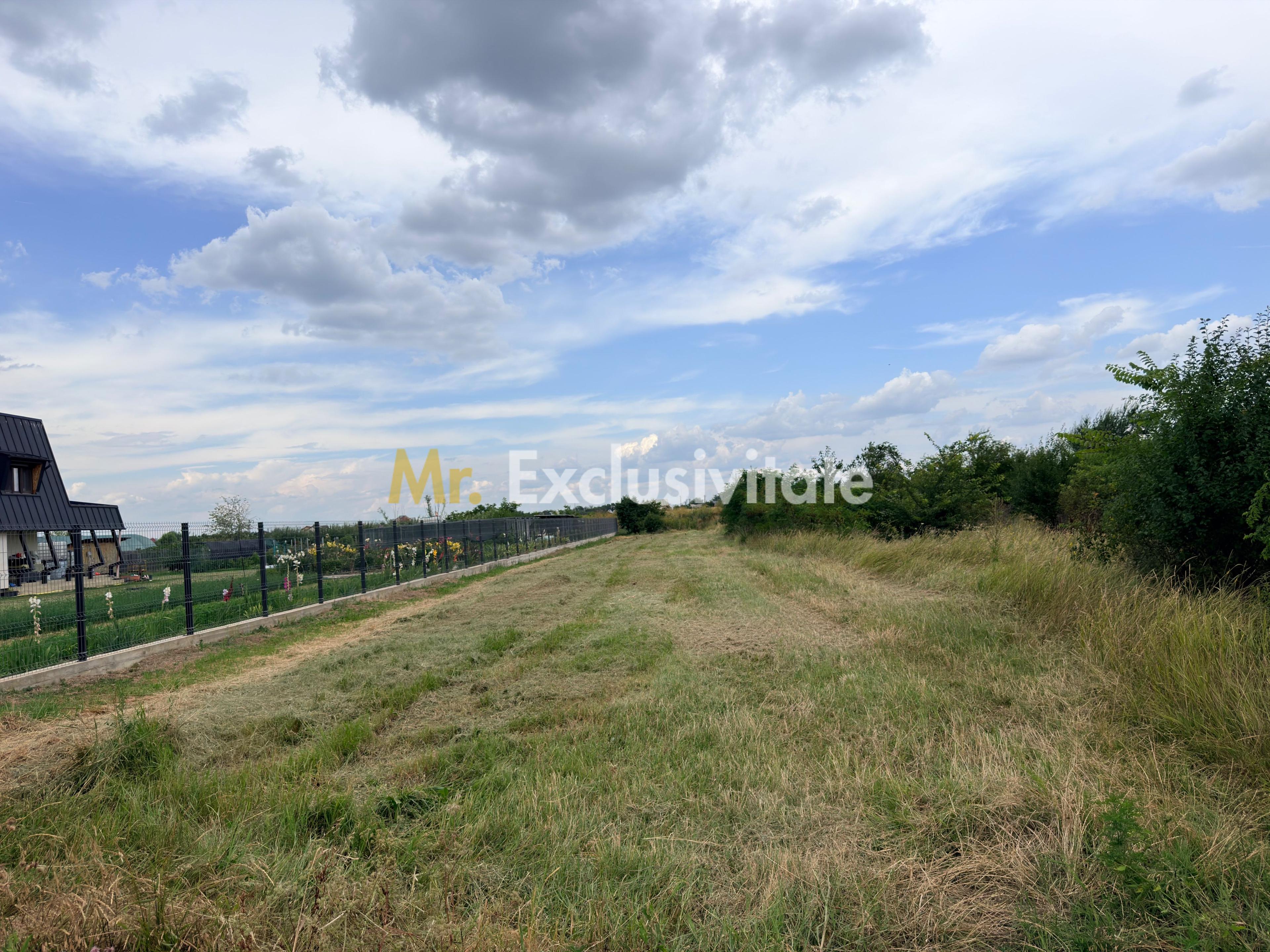 TEREN INTRAVILAN 1.374 MP | BRADU | POTENȚIAL INVESTIȚIONAL - 1