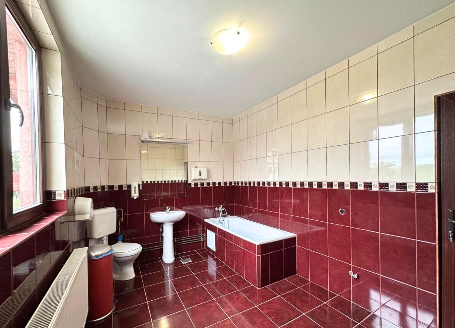 Inchiriere casă complet renovată cu 4 camere Băneasa, Sector 1 - 21