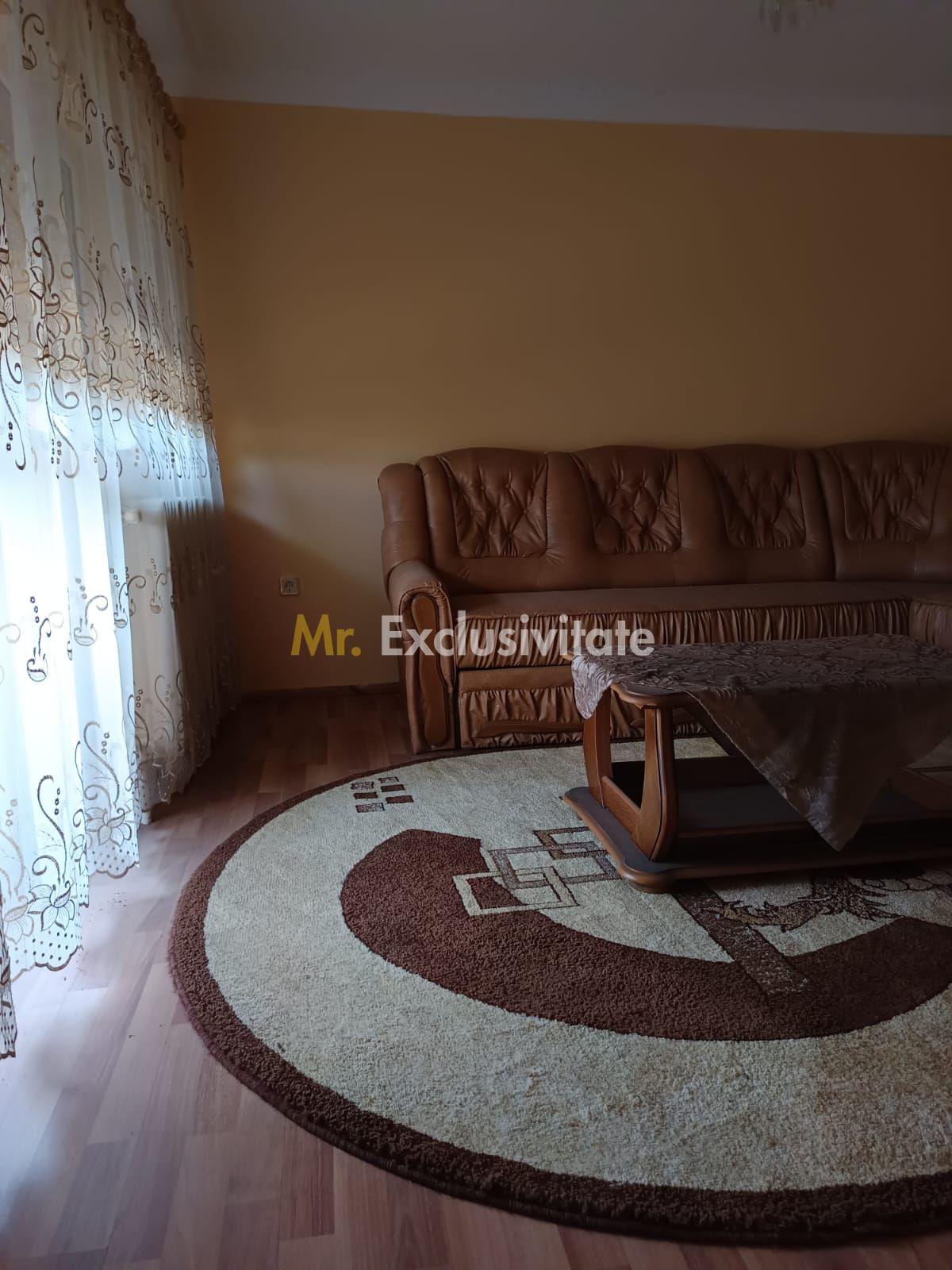 Vilă P+E de vânzare în Valea lui Mihai – 233 mp, teren 733 mp - 24