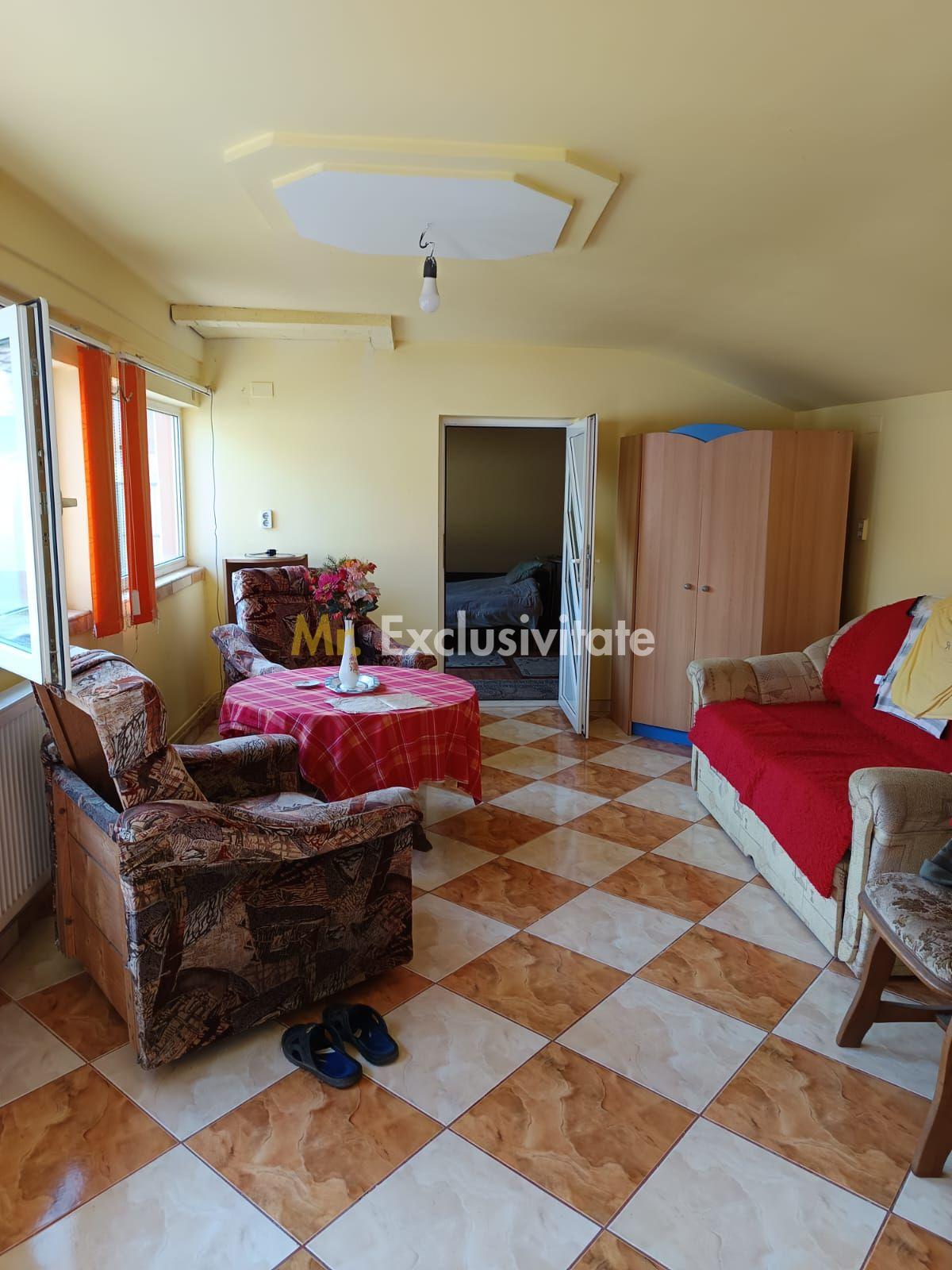 Vilă P+E de vânzare în Valea lui Mihai – 233 mp, teren 733 mp - 13