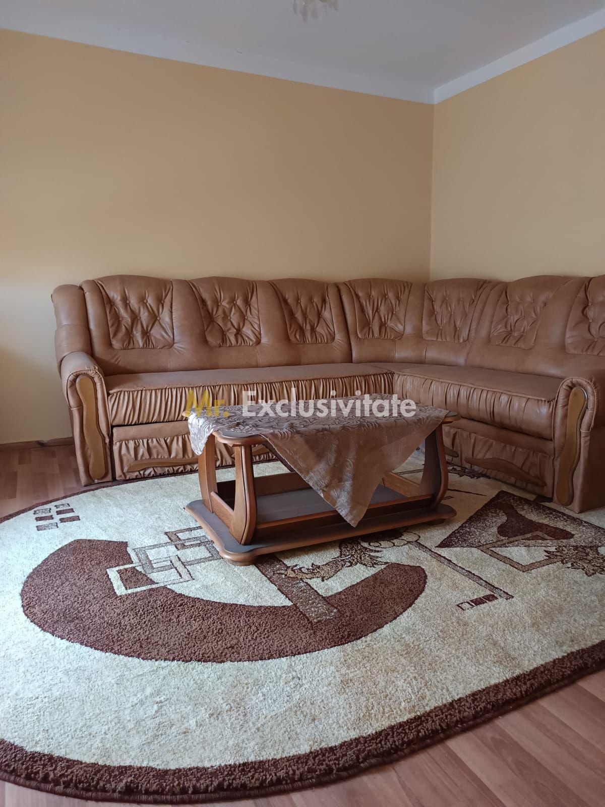 Vilă P+E de vânzare în Valea lui Mihai – 233 mp, teren 733 mp - 29