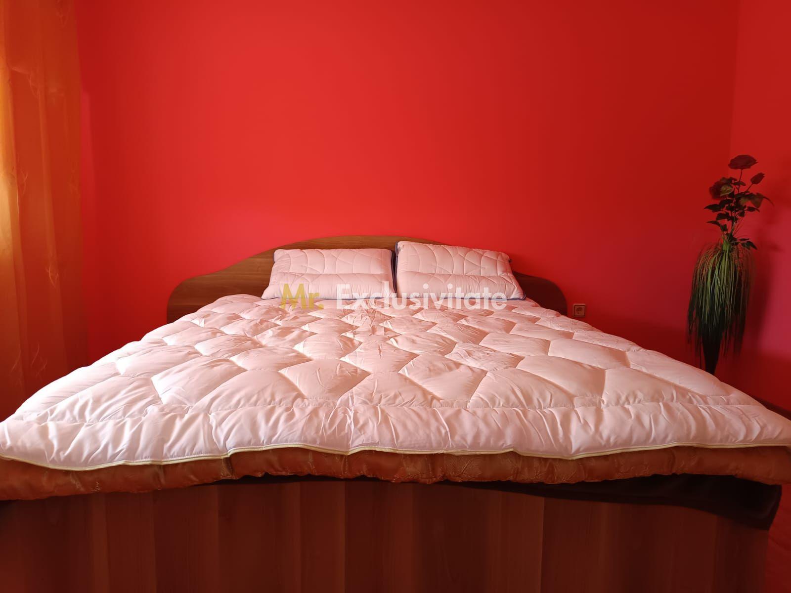 Vilă P+E de vânzare în Valea lui Mihai – 233 mp, teren 733 mp - 19