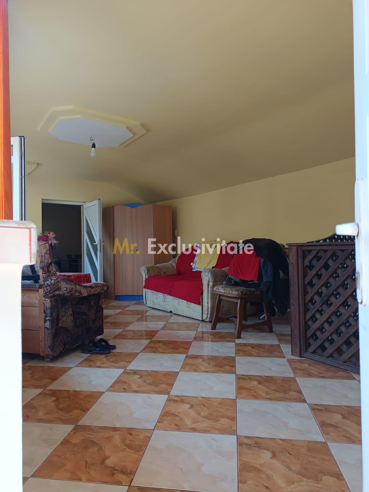 Vilă P+E de vânzare în Valea lui Mihai – 233 mp, teren 733 mp - 11