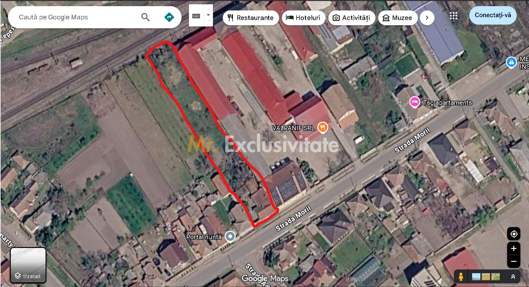 Casă de vânzare cu teren generos în Valea lui Mihai - 10