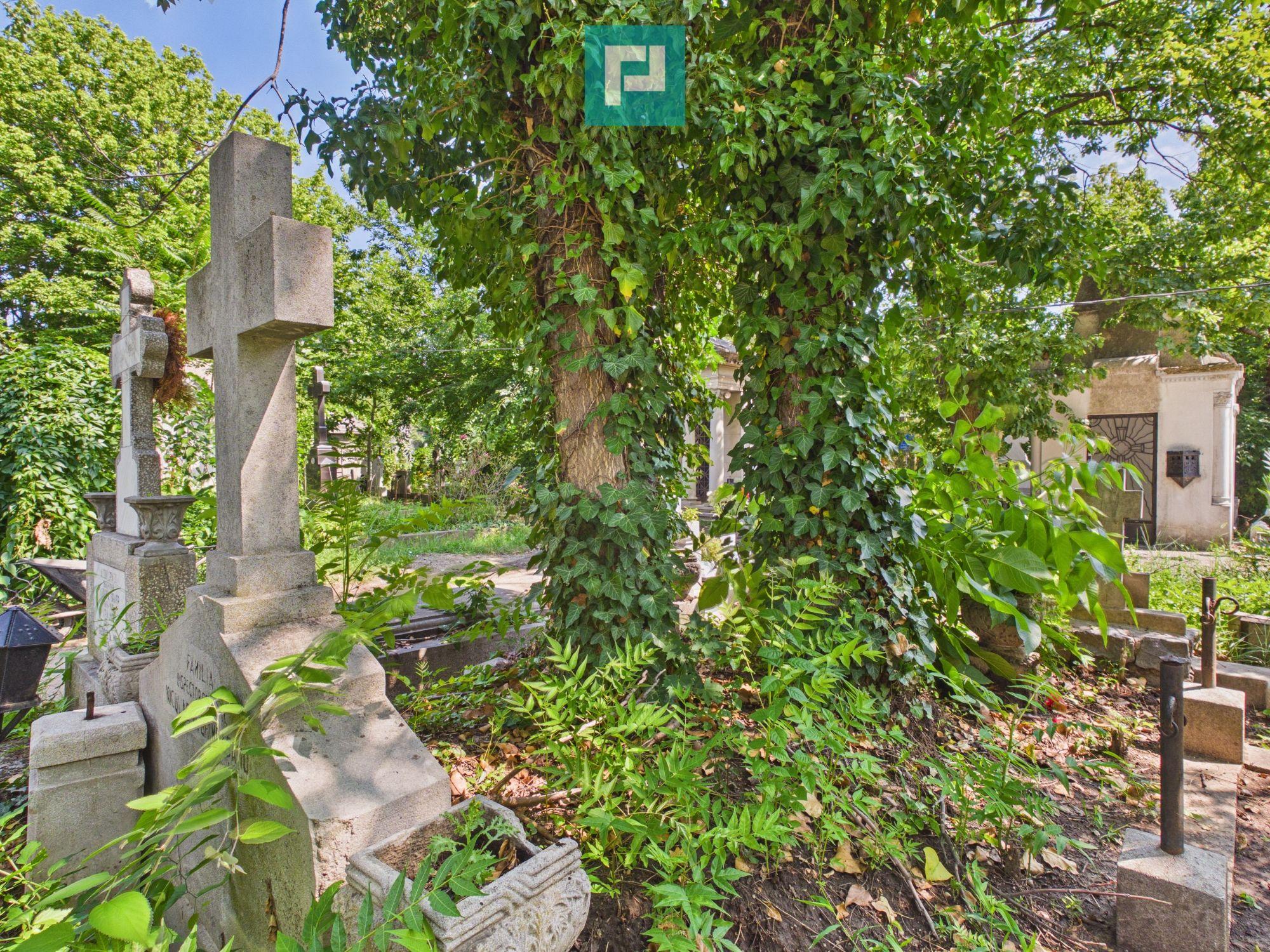 Loc de veci, cimitir Bellu, Bucuresti - 4