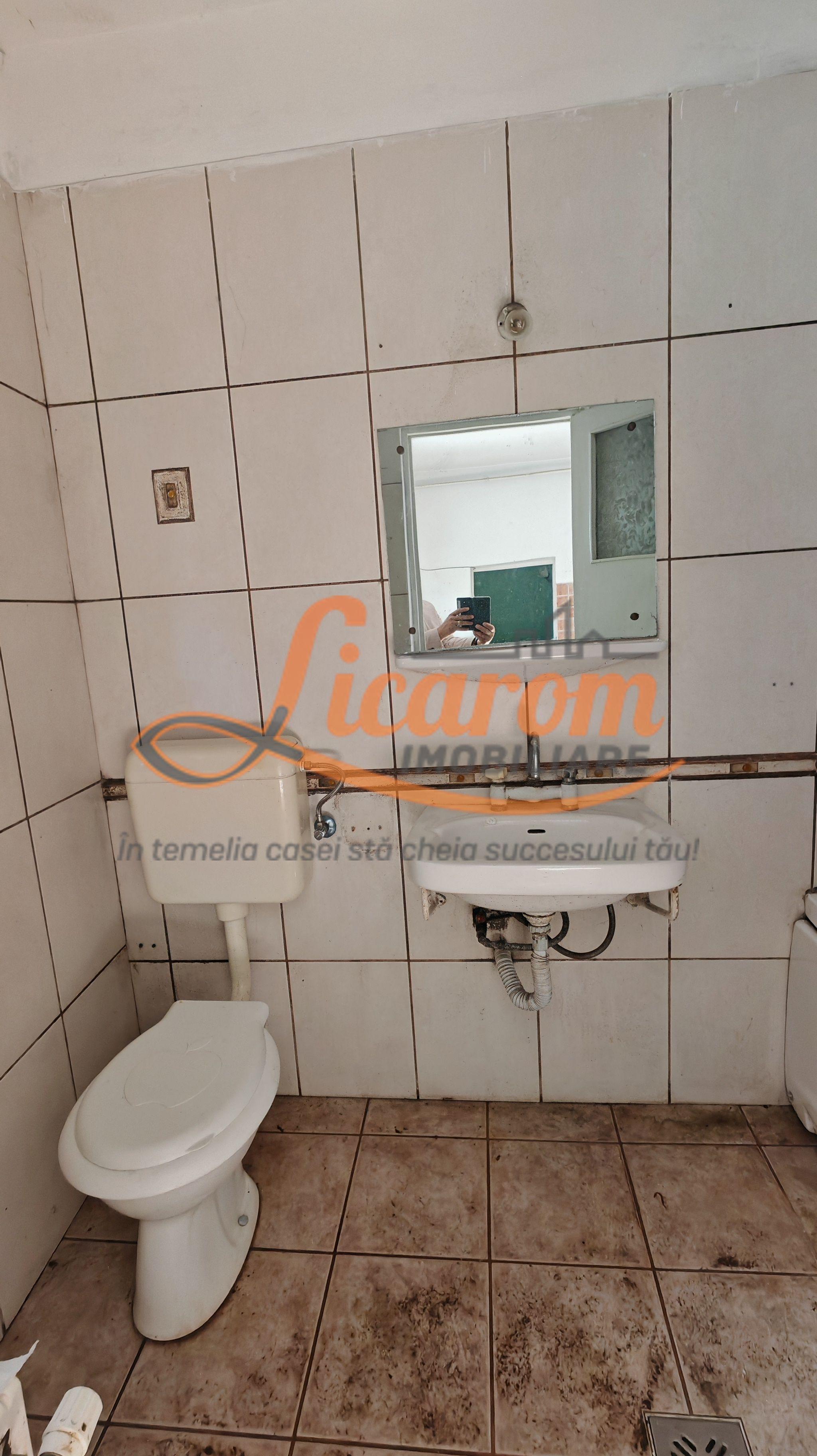 Casa singur in curte zona ZONA ISTORICA langa Seminarul Teologic - 10