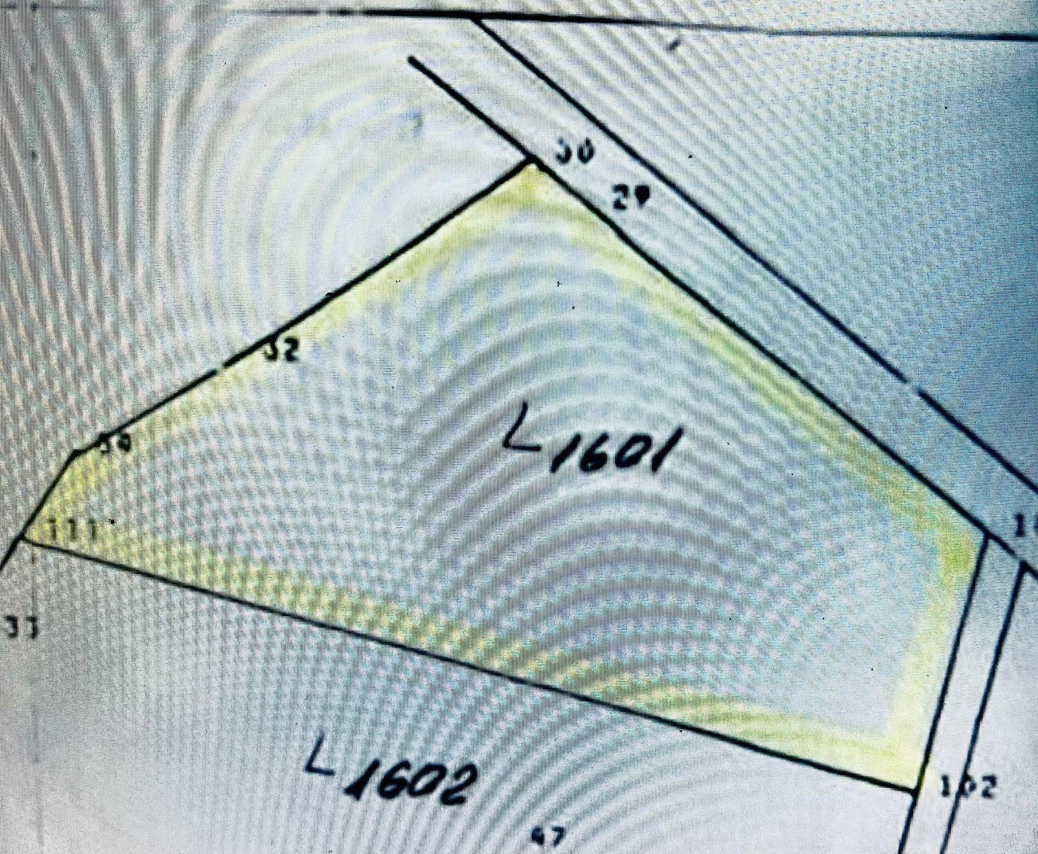 Teren intravilan de 1.125 mp la liziera Pădurii Gheorghe Doja – Oradea - 2