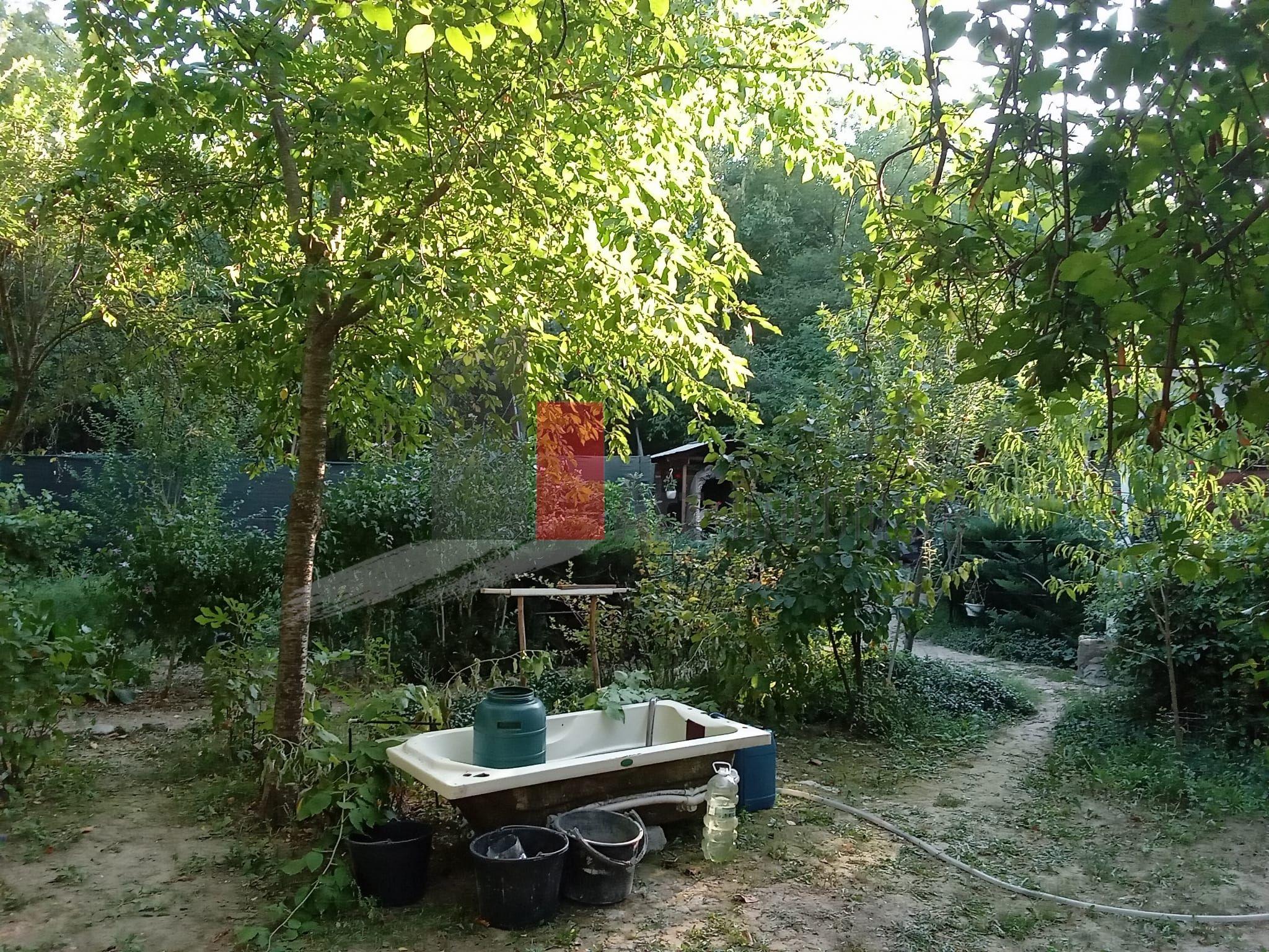 Vânzare teren intravilan Dărăști-Vlașca - 2